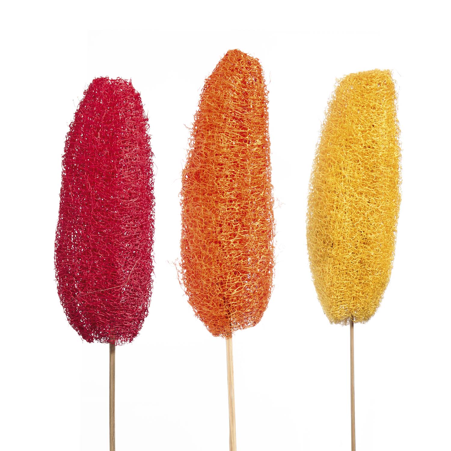 Luffa am Stiel - 3fach Farbmix  
