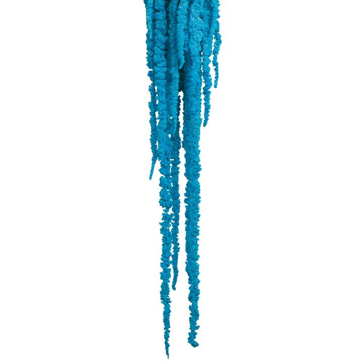 Amaranthus Fuchsschwanz - Himmelblau