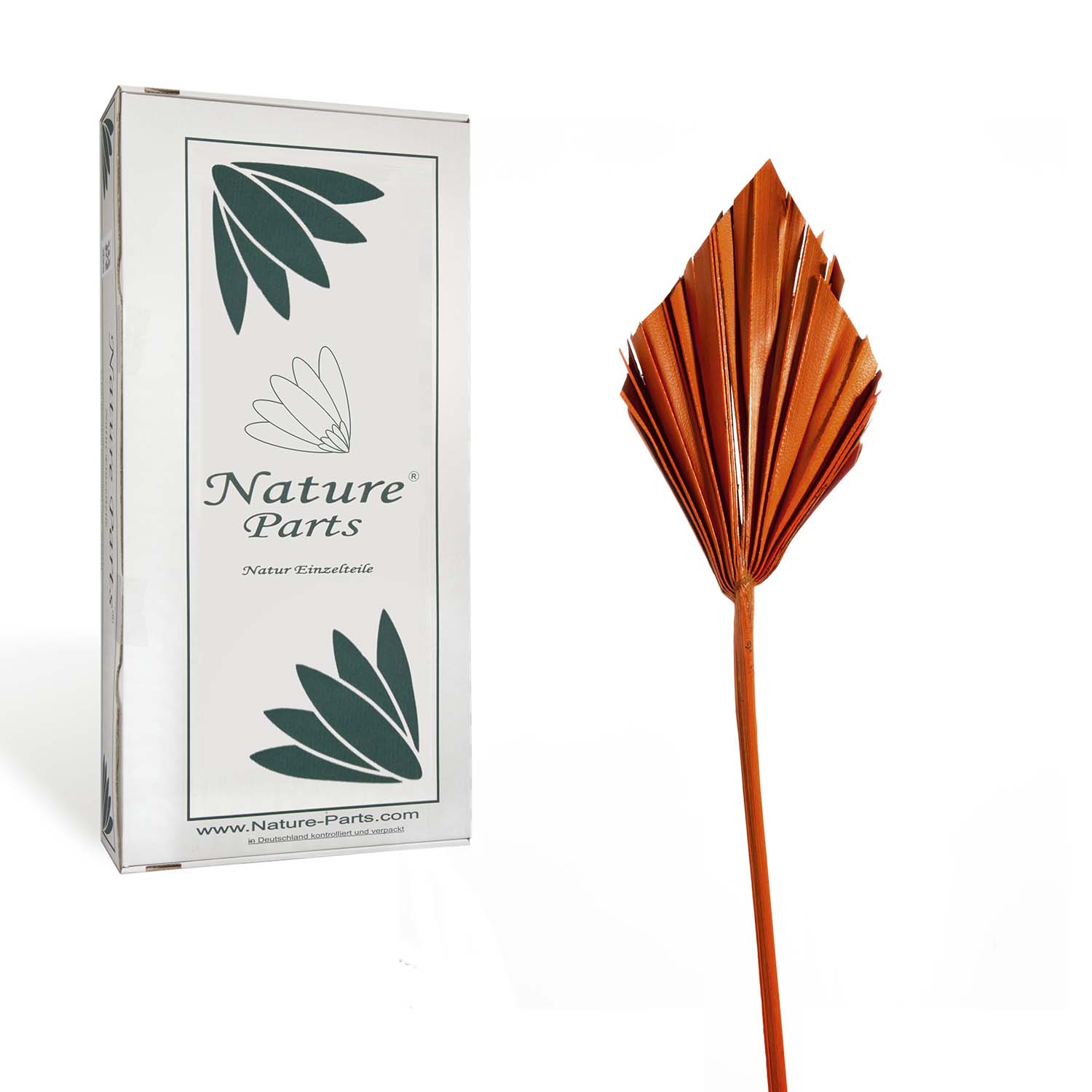 Palm Spear - Mini - Orange (100 Stück)
