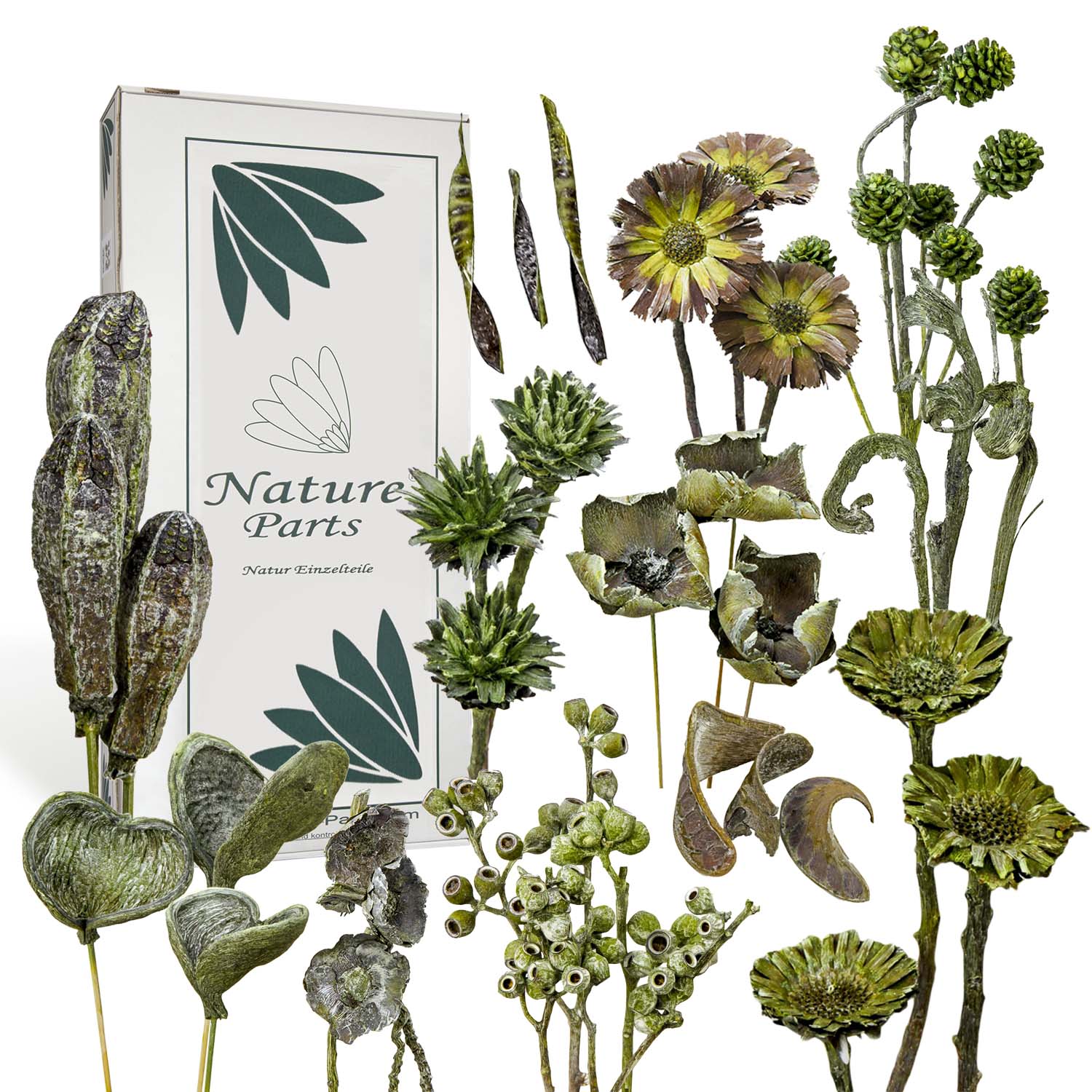 Frosted Green Sortiment (60-teilig)