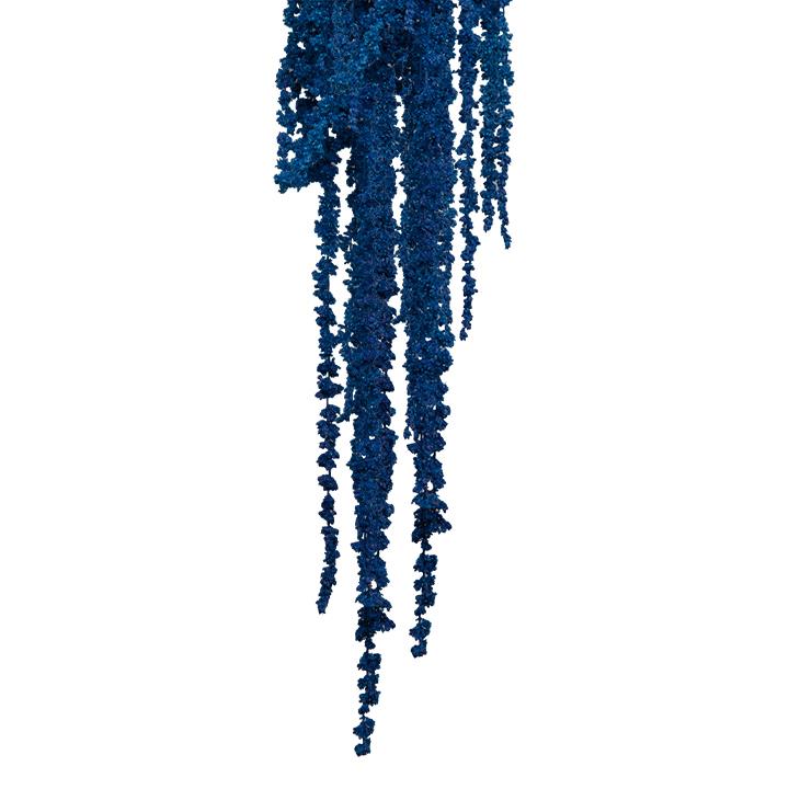 Amaranthus Fuchsschwanz - Königsblau