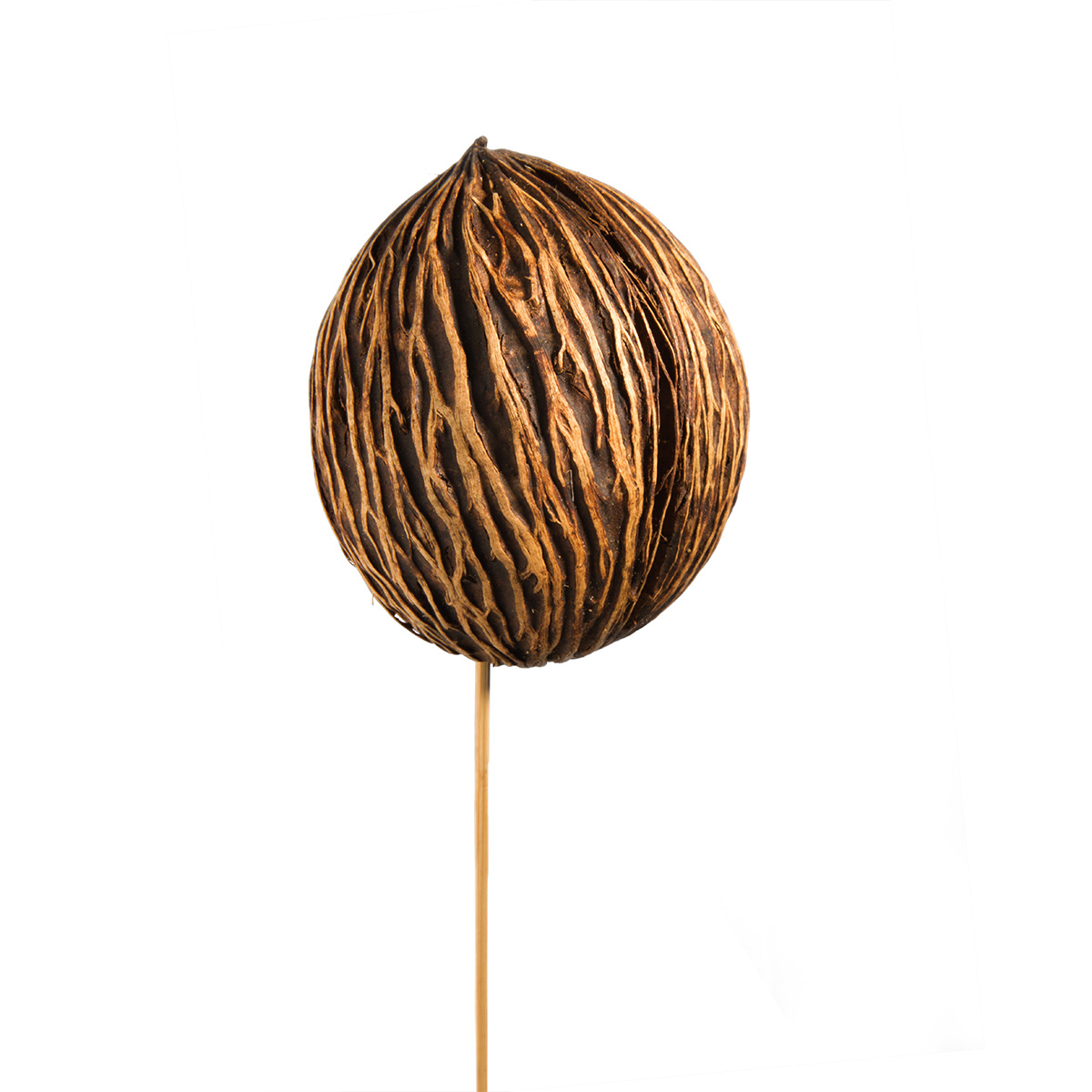 Mintolla Ball am Stab - Natur     