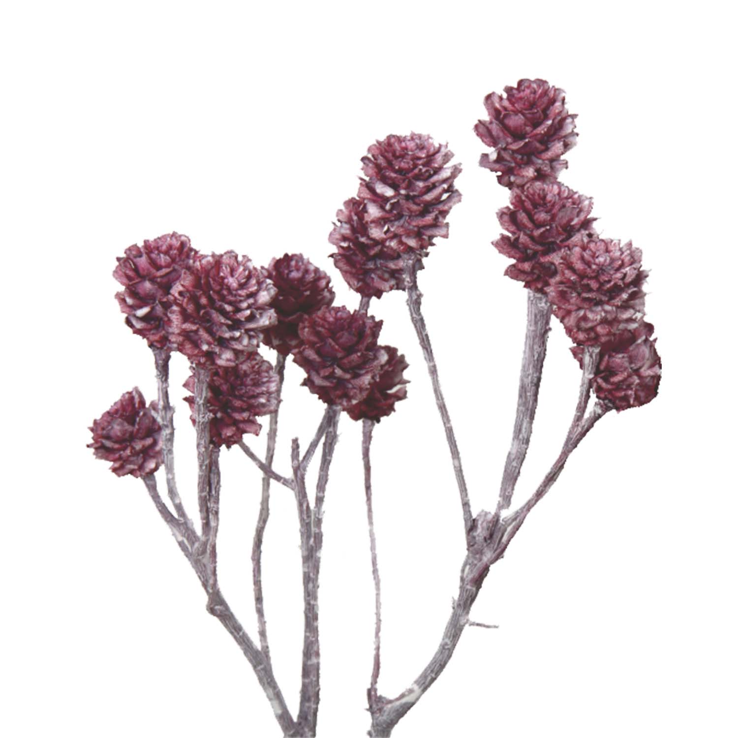 Salignum Zweig Extra in Frosted Pink Erika