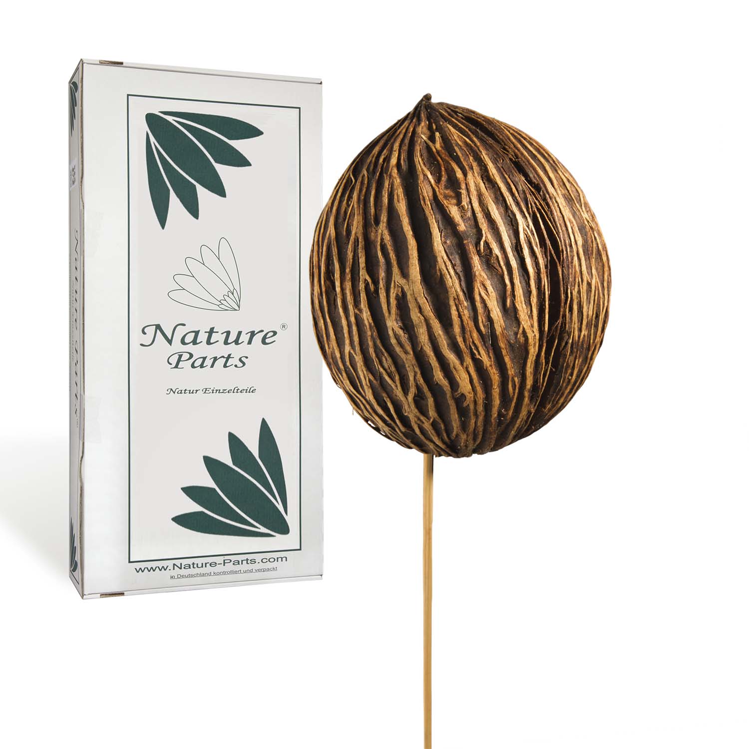Mintolla Ball am Stab - Natur (32 Stück)
