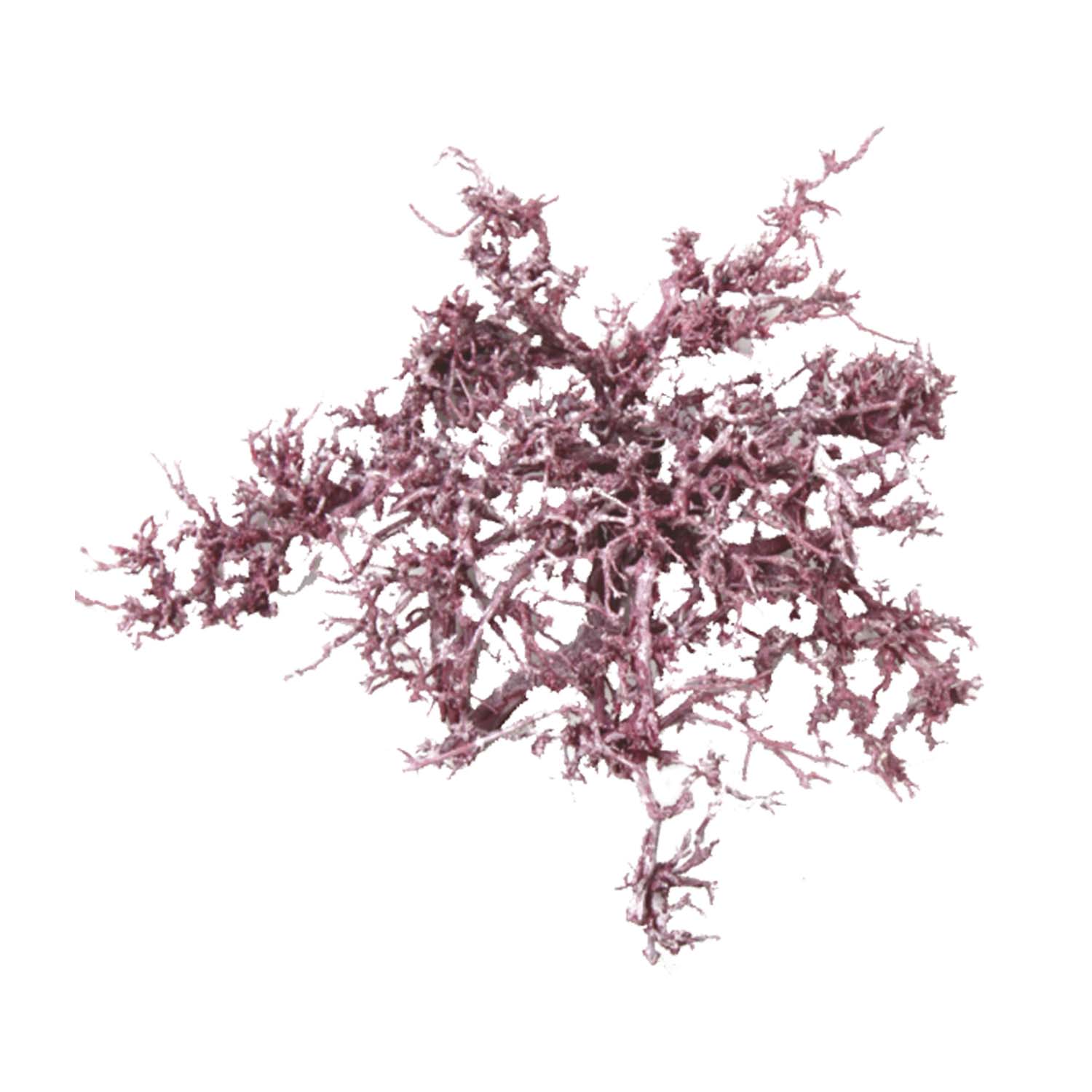 Dry Tree in Frosted Pink Erika