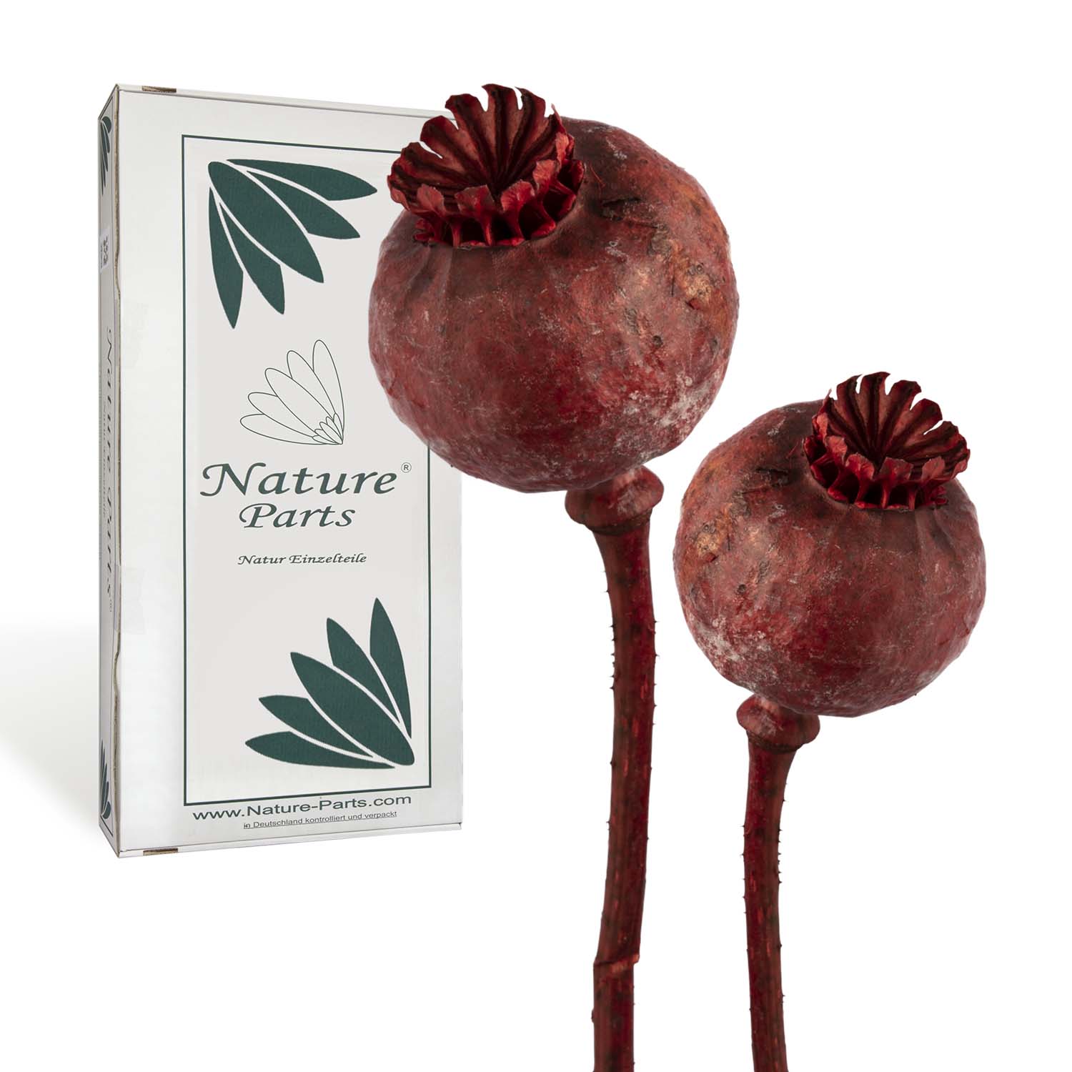 Mohn am Stiel - groß - Rot (50 Stück)