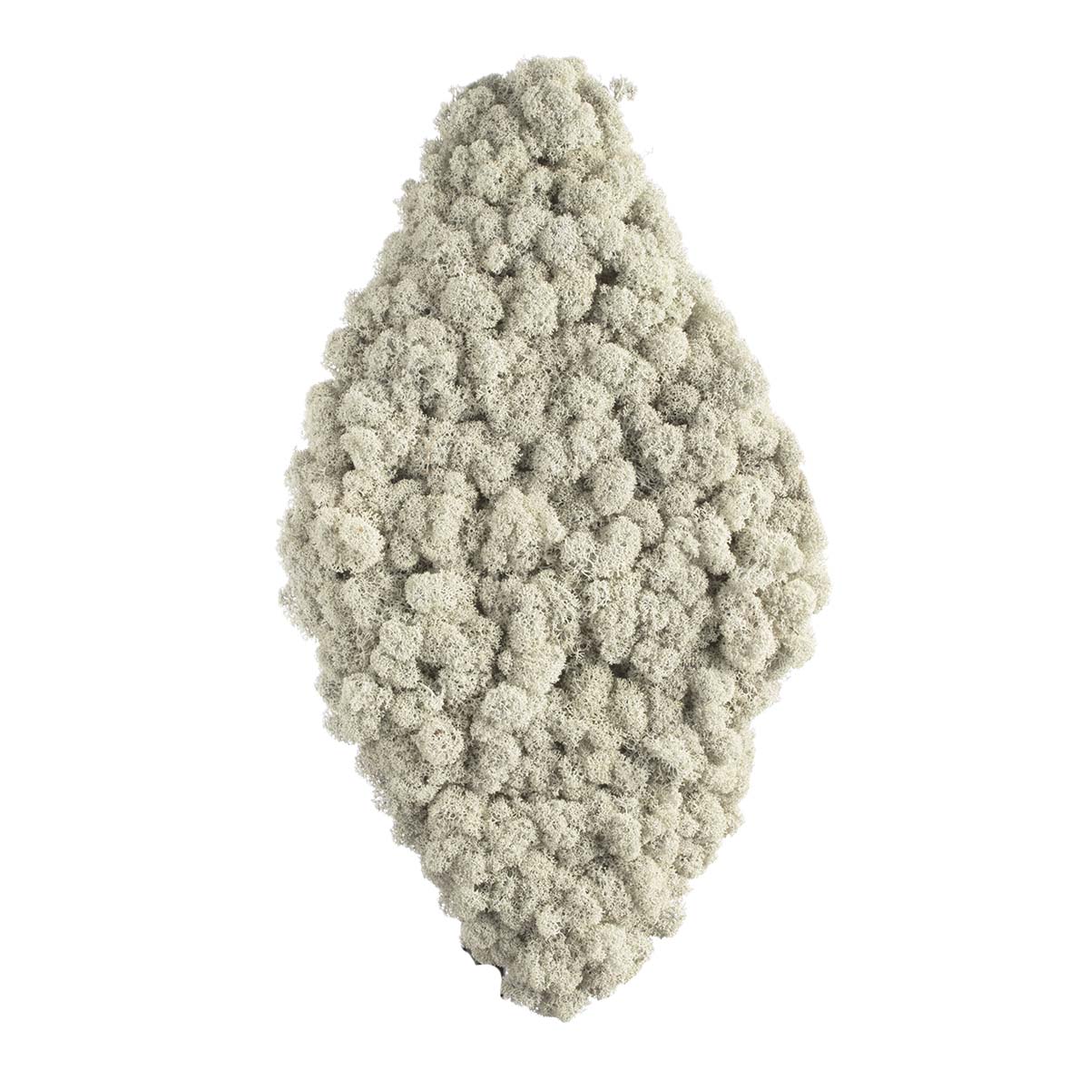 Rhombus Islandmoosteil - vollgesteckt - 40 cm
