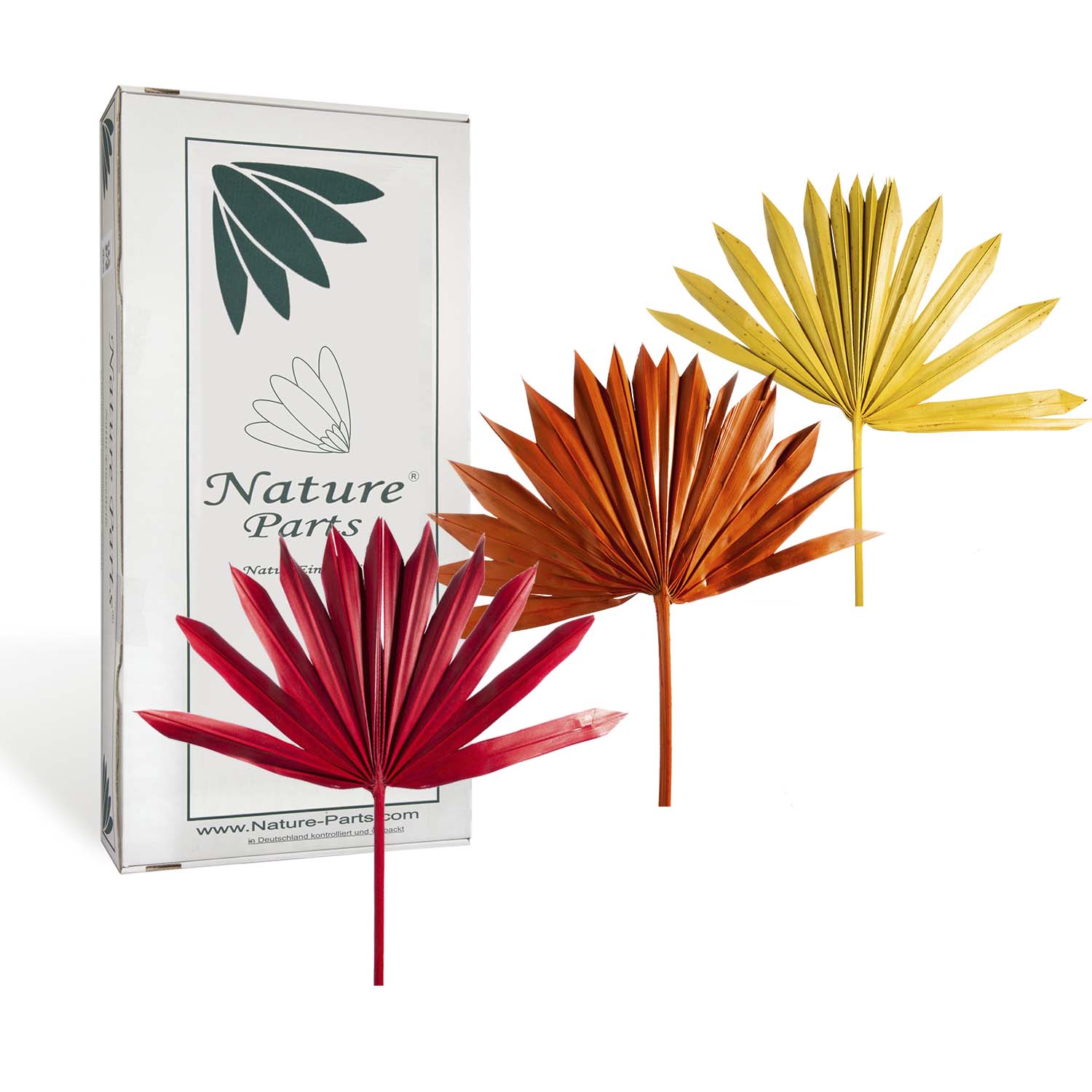 Sun Palm Cut - 3fach Farbmix (30 Stück)