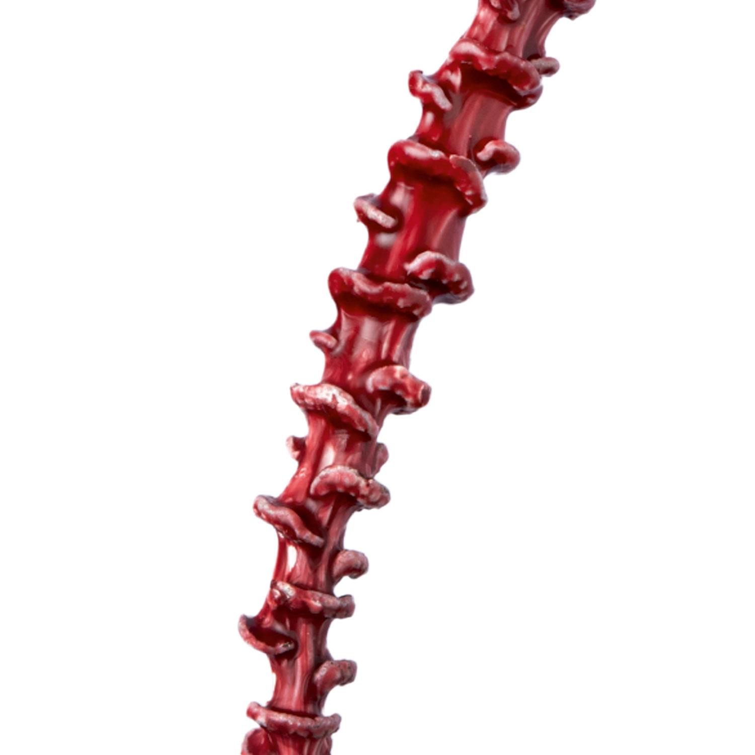 Banana Stem - gewachst - Burgund
