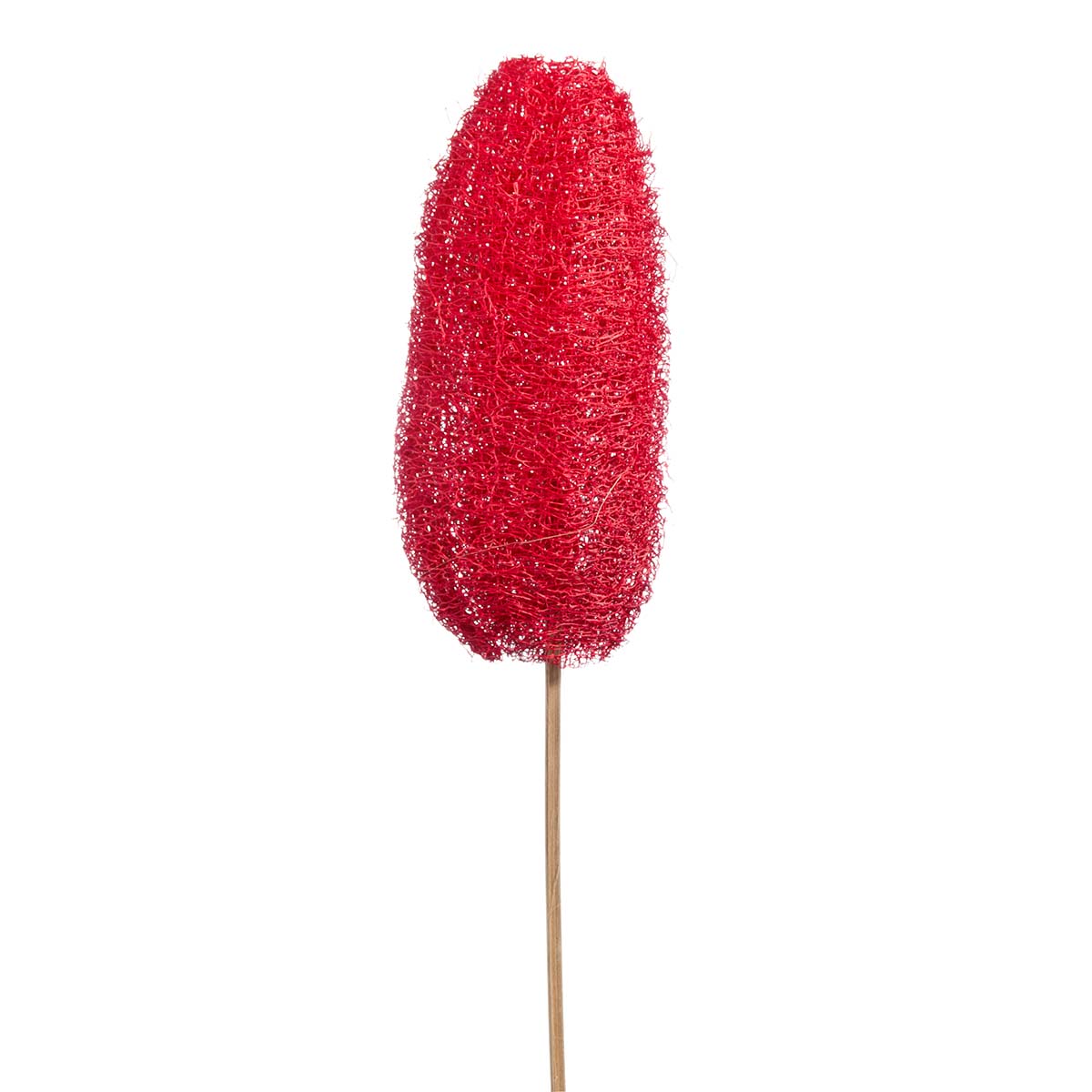 Luffa am Stiel in Rot