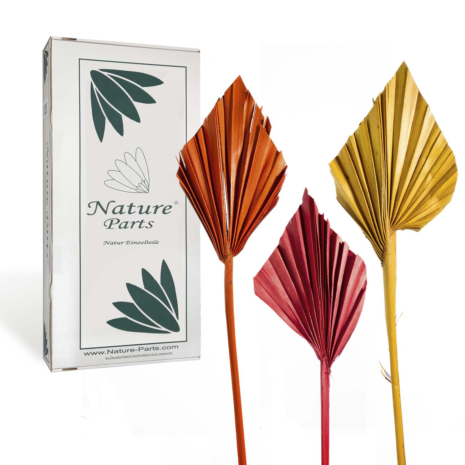 Palm Spear - Mini - 3fach Farbmix (100 Stück)