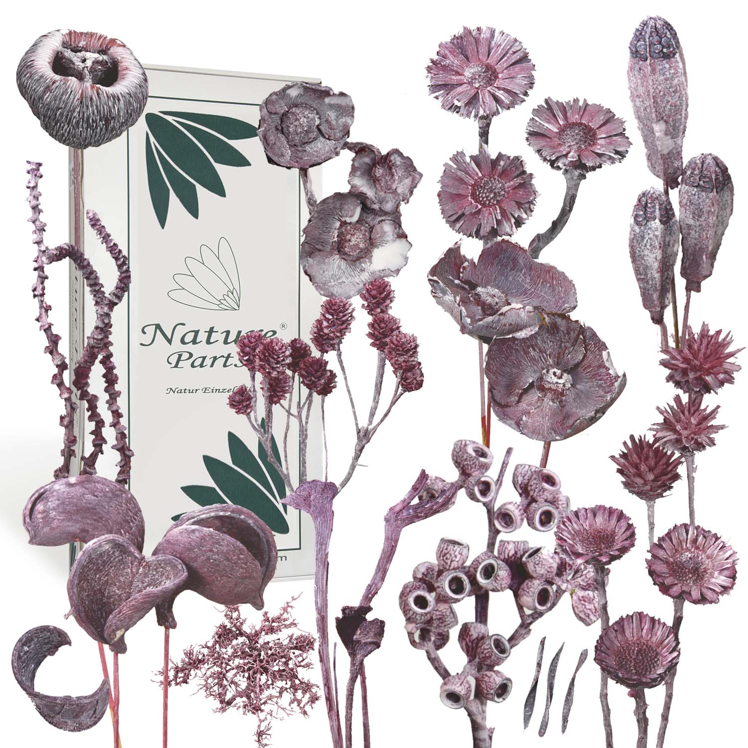 Frosted Pink Erika Sortiment (60-teilig)