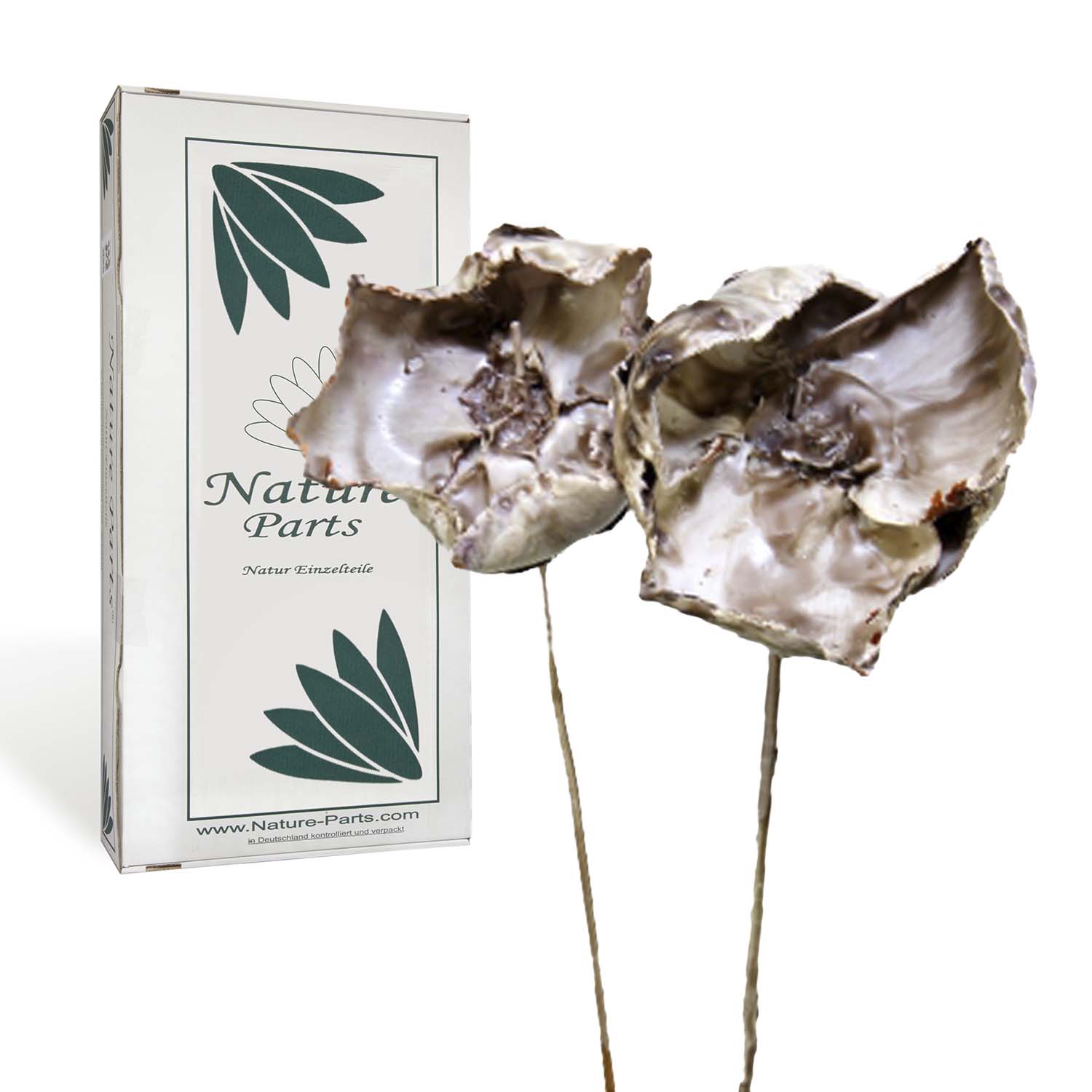 Palm Cup - gewachst - Mocca Grey (40 Stück)