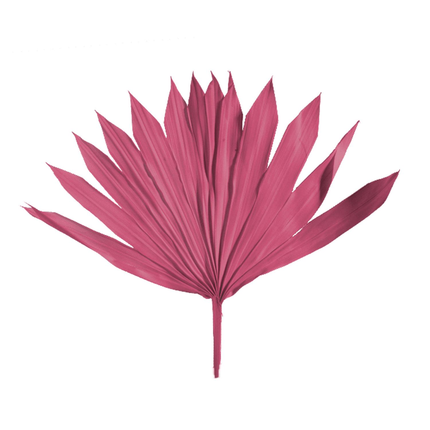 Sun Palm Cut - Erika