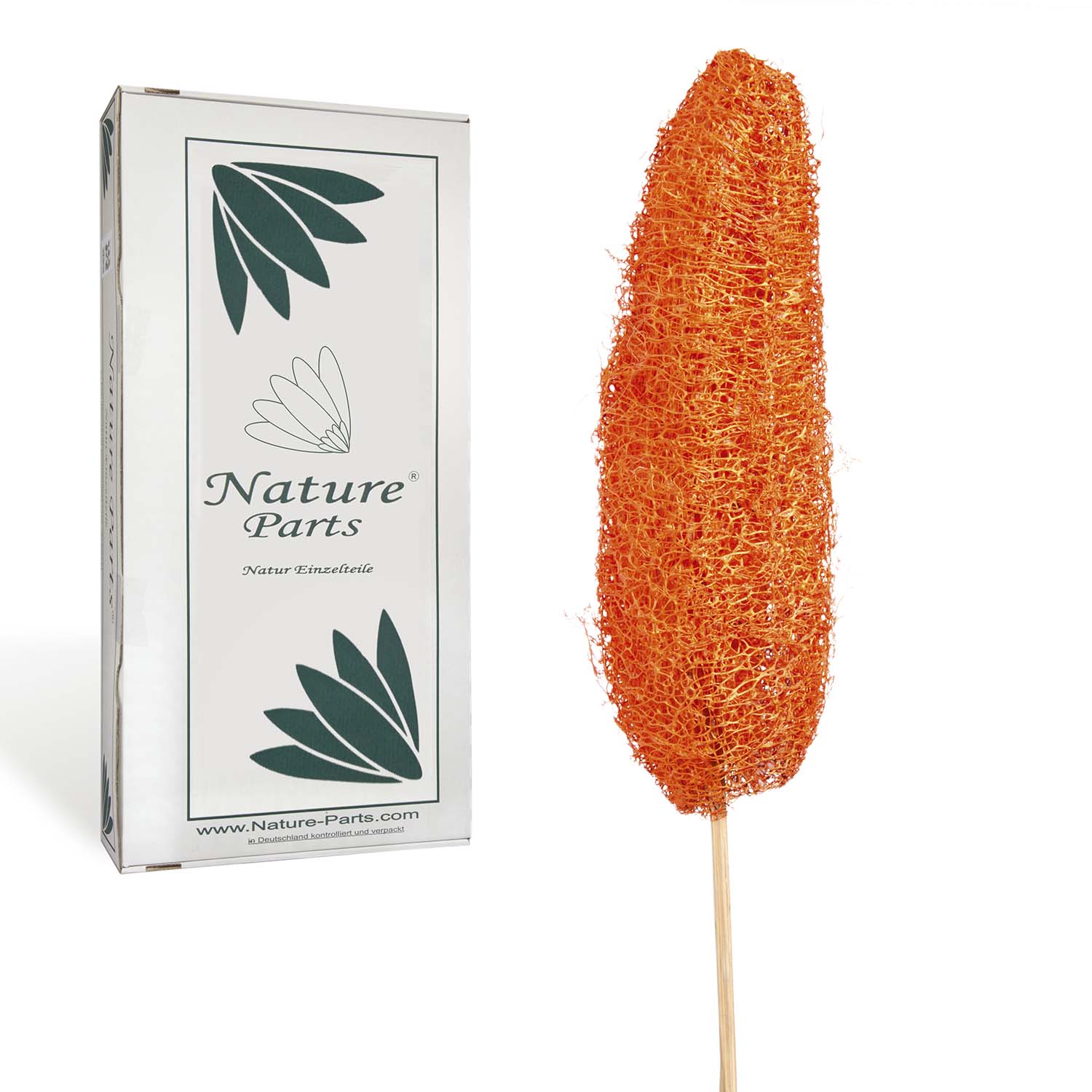 Luffa am Stiel - Orange (40 Stück)