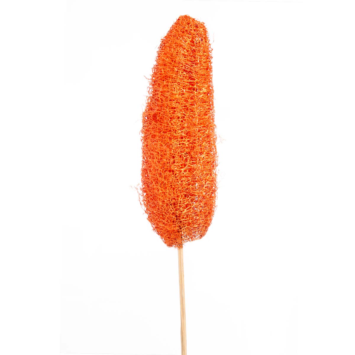 Luffa am Stiel - Orange