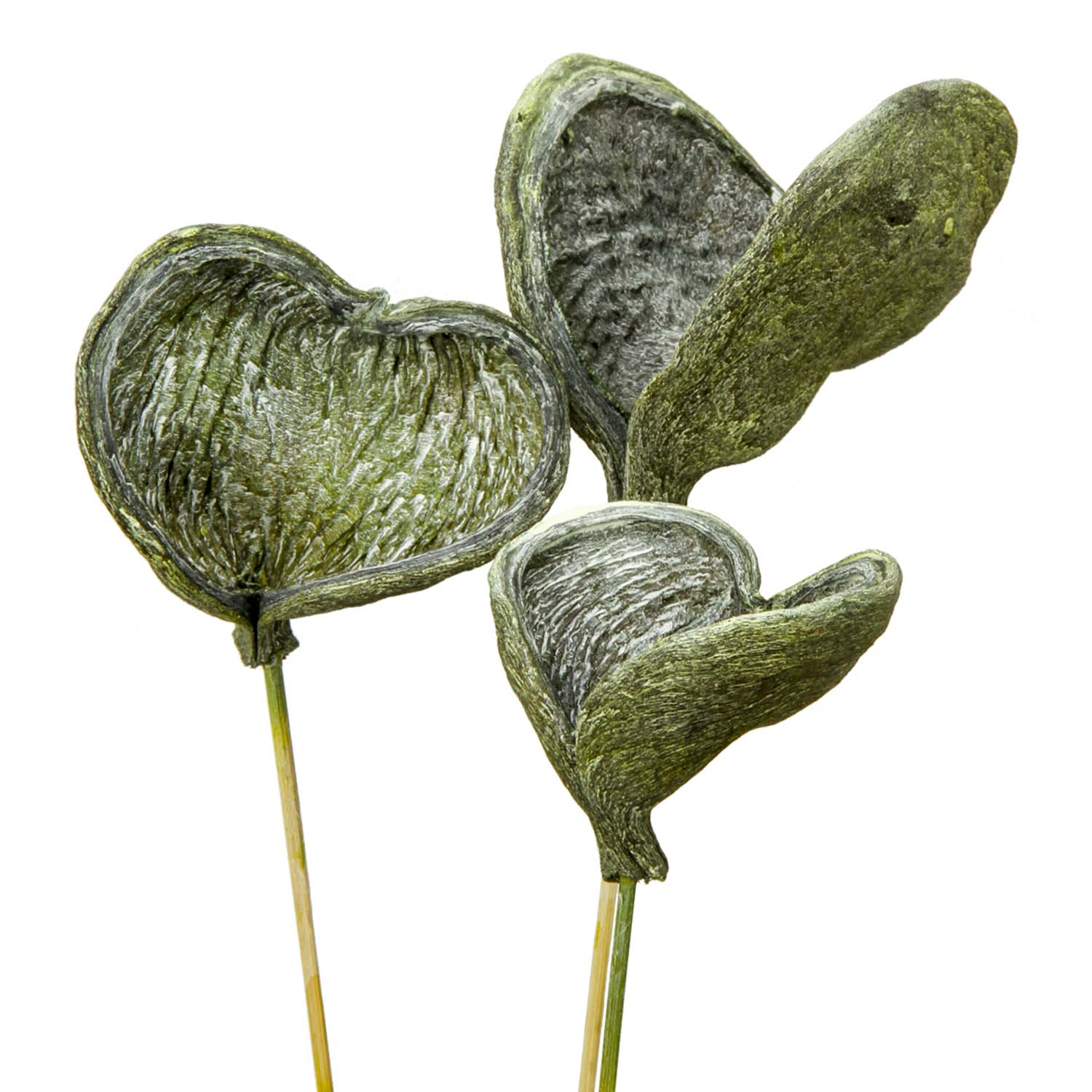 Badam am Stiel in Frosted Green