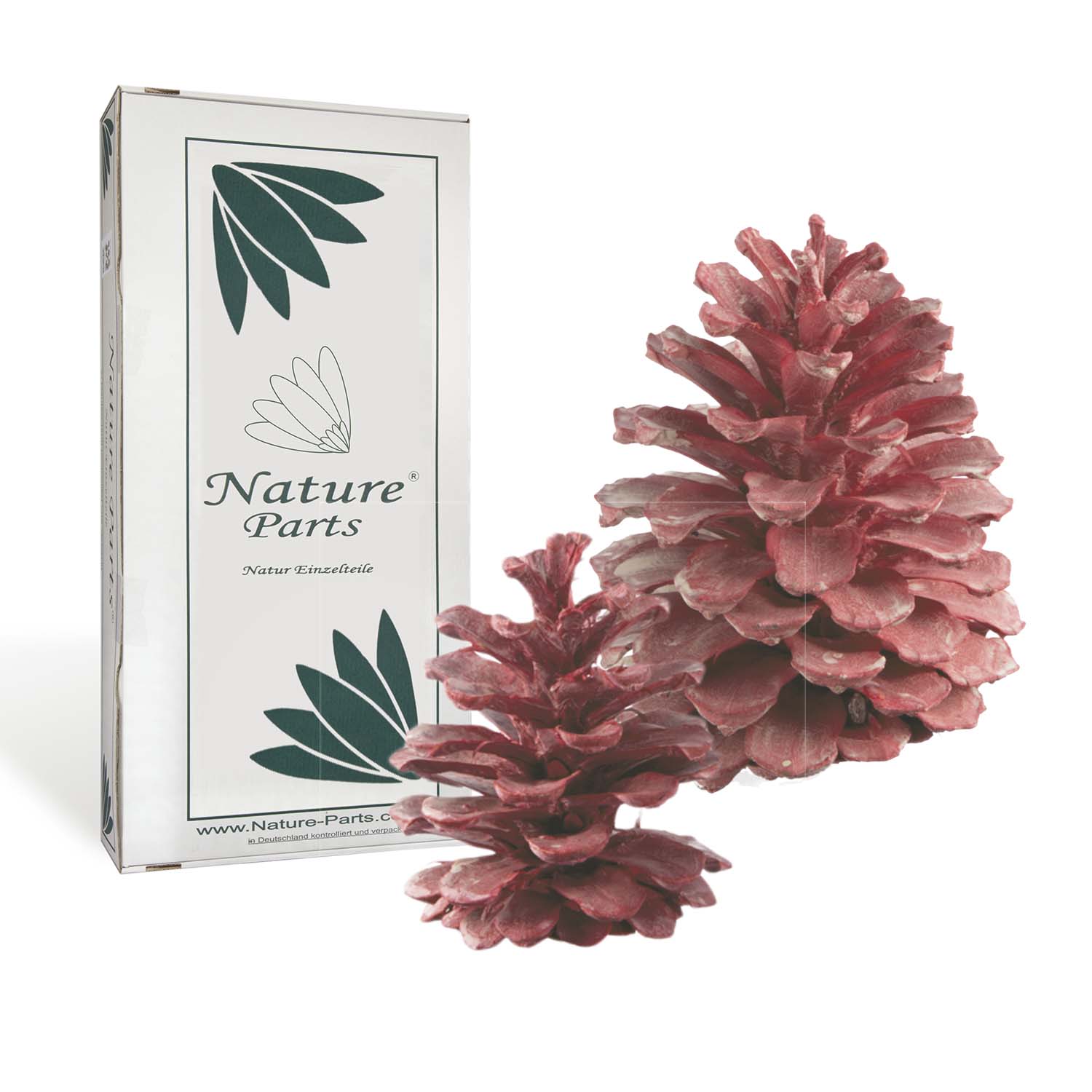 Zapfen Sortiment - Frosted Pink Erika (50 Stück)