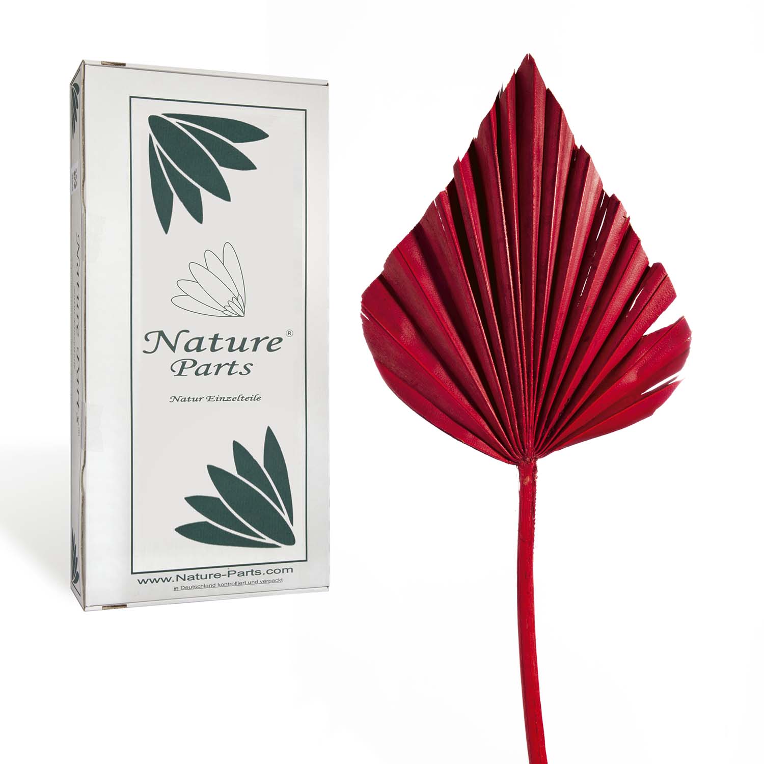 Palm Spear - Medium - Rot (50 Stück)