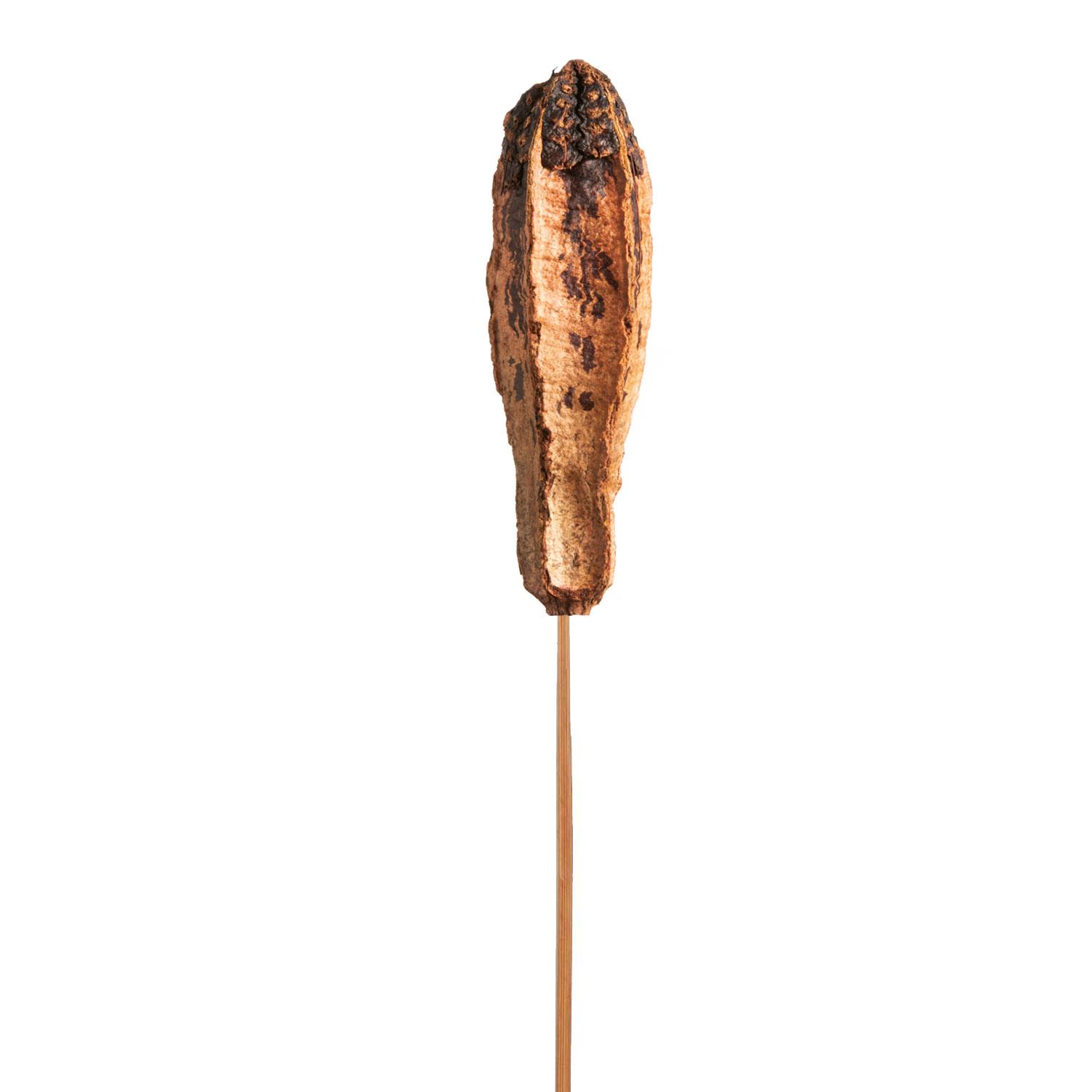 Mehogany am Stiel - Rost