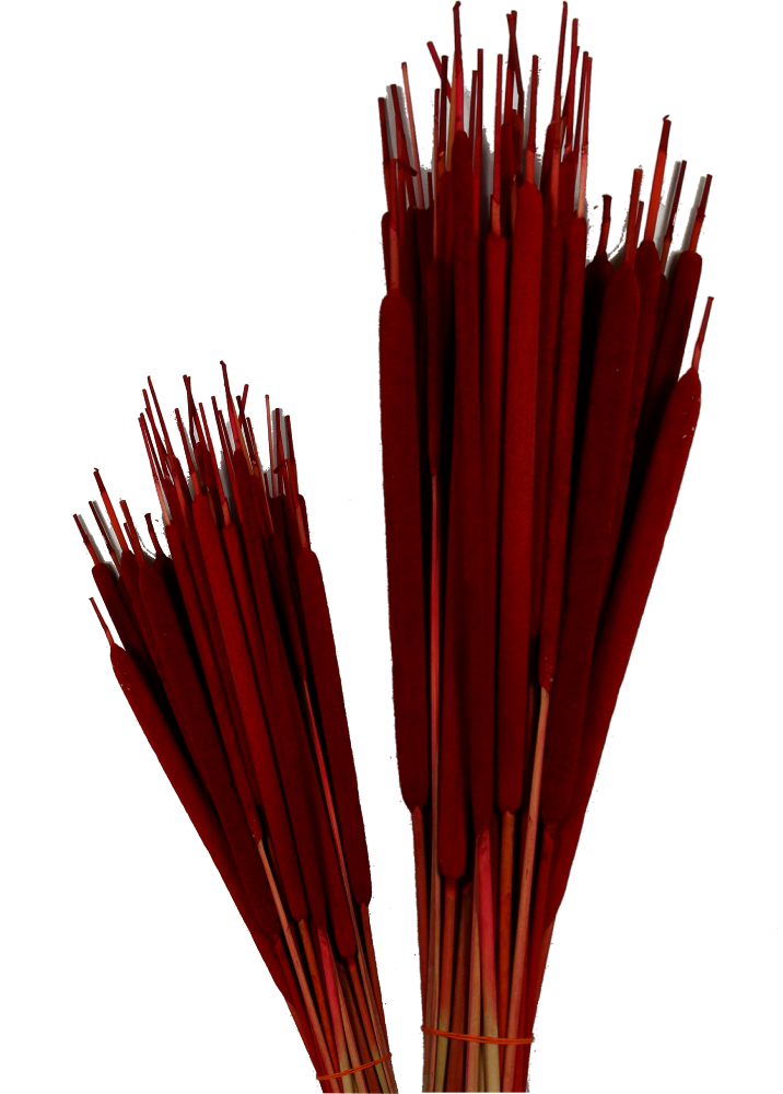 Schilfkolben - Medium - Rot