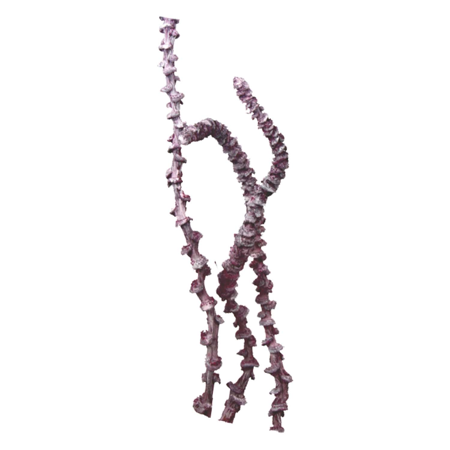 Banana Stem in Frosted Pink Erika