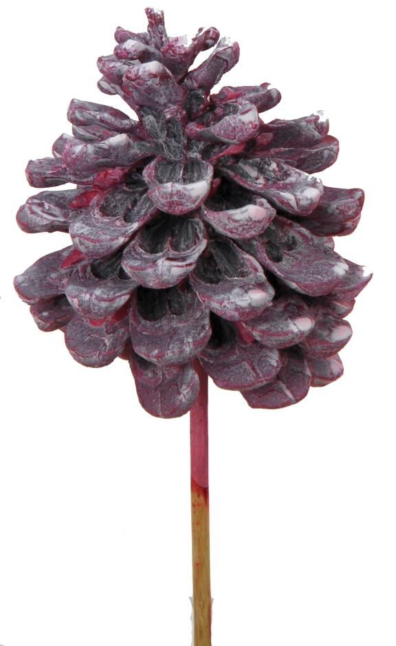 Pinea Zapfen am Stab - Frosted Pink Erika