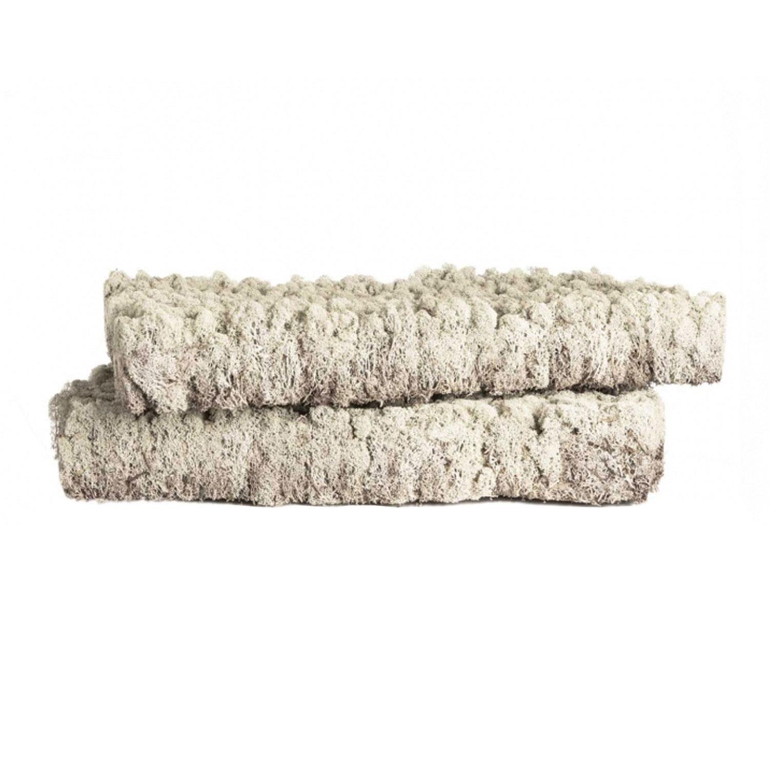 Nature Parts Premium Islandmoos Platten
