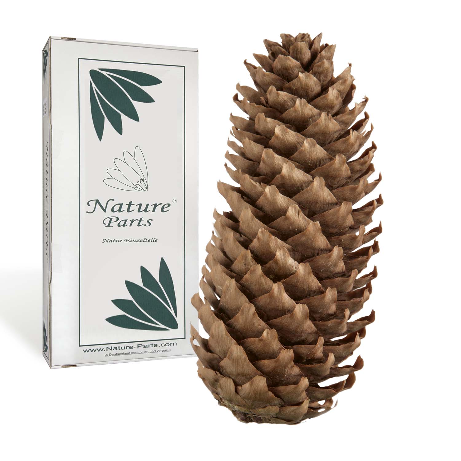 Fichte Zapfen - Natur (1 kg)