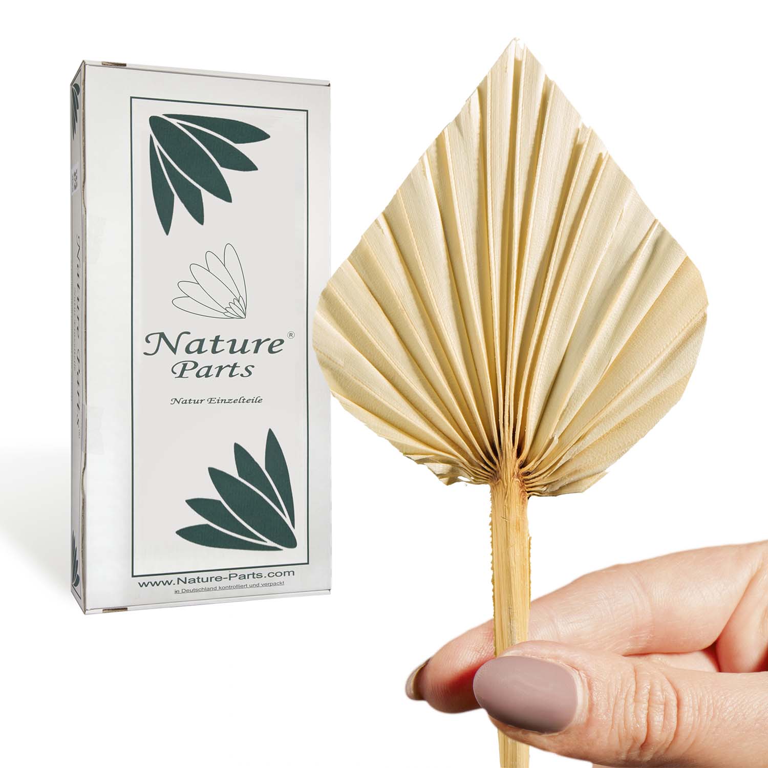 Palm Spear - Mini - Natur (100 Stück)