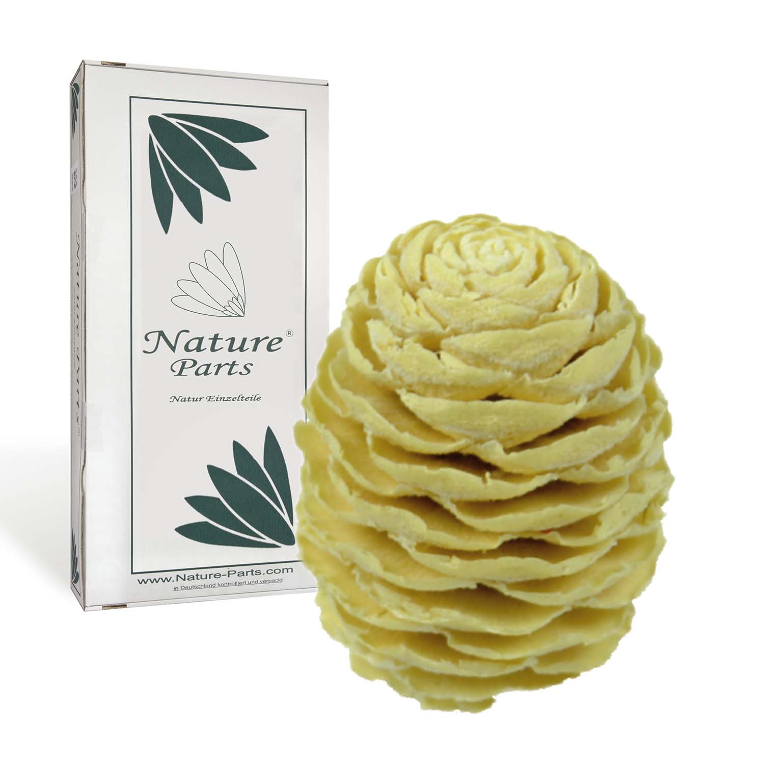 Sabulosum Zapfen - Gebleicht  (2 kg)