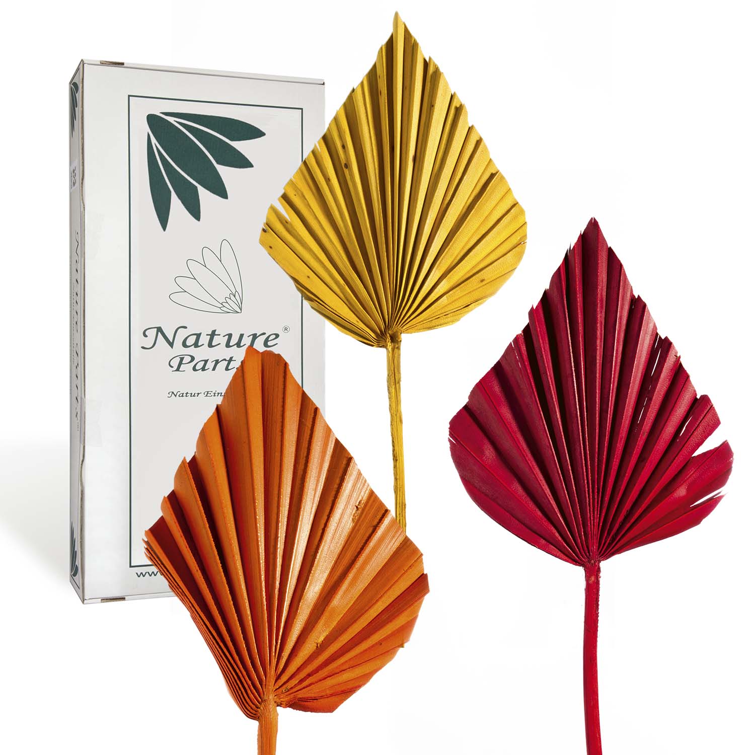 Palm Spear - Medium - 3fach Farbmix (50 Stück)