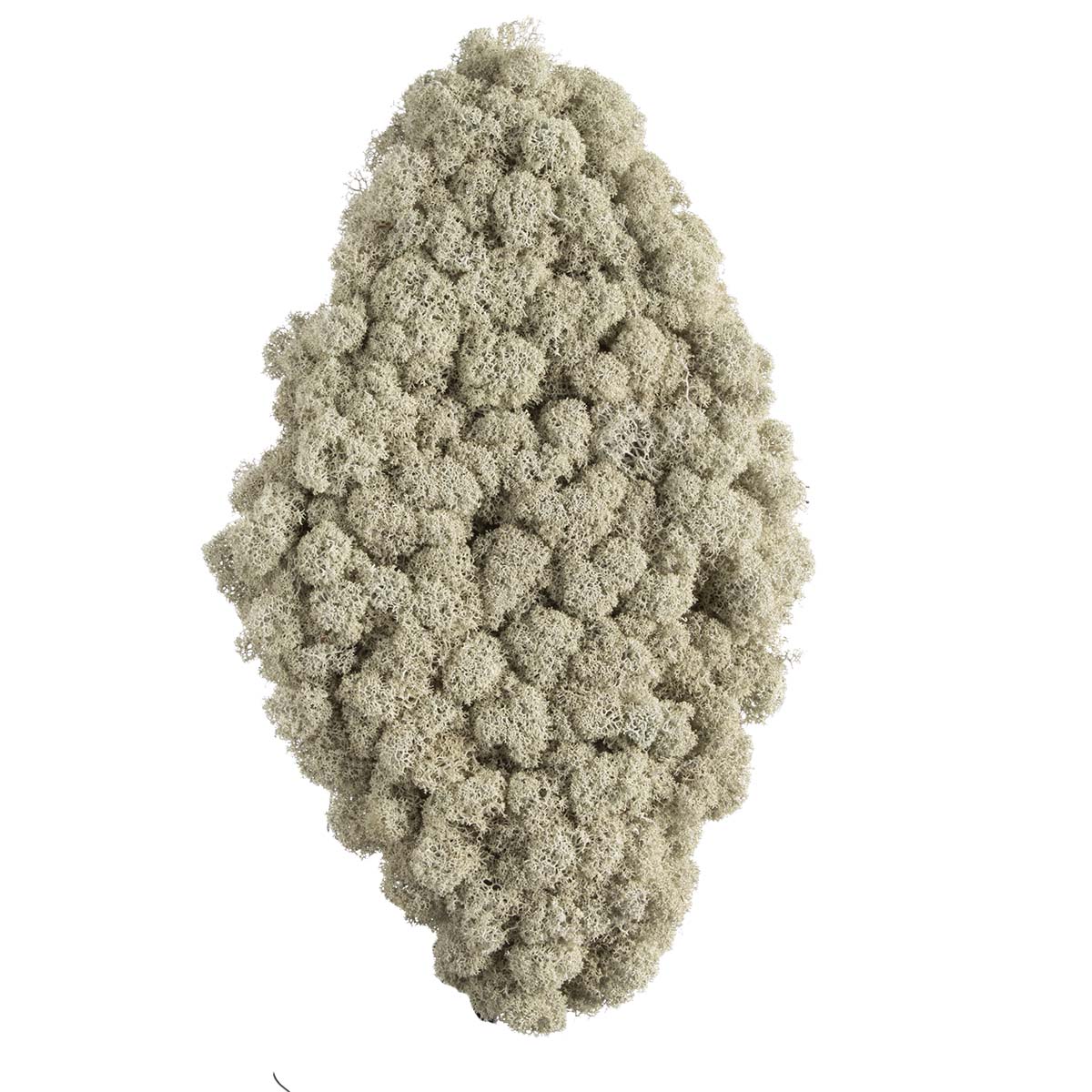 Rhombus Moosteil - vollgesteckt - 50 cm
