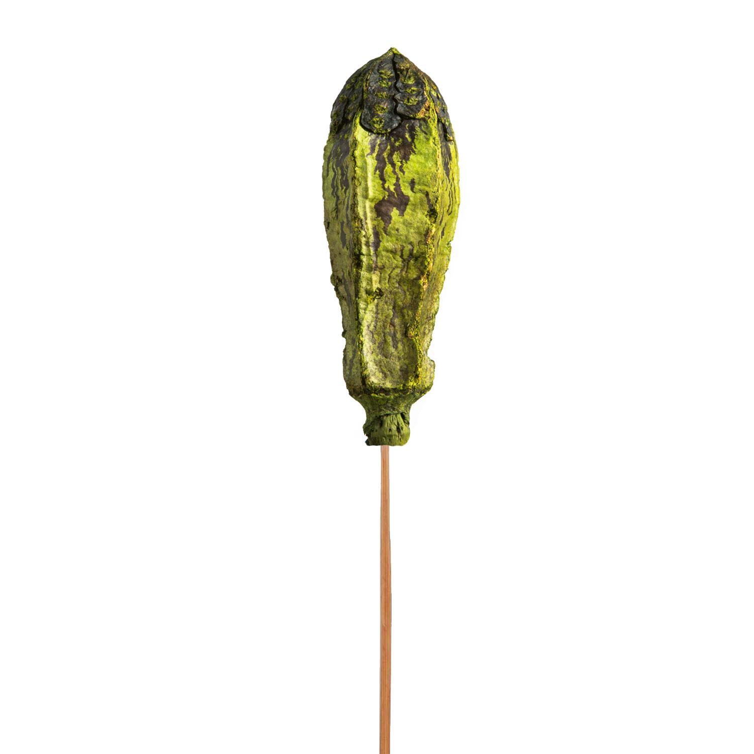Mehogany am Stiel - Lime
