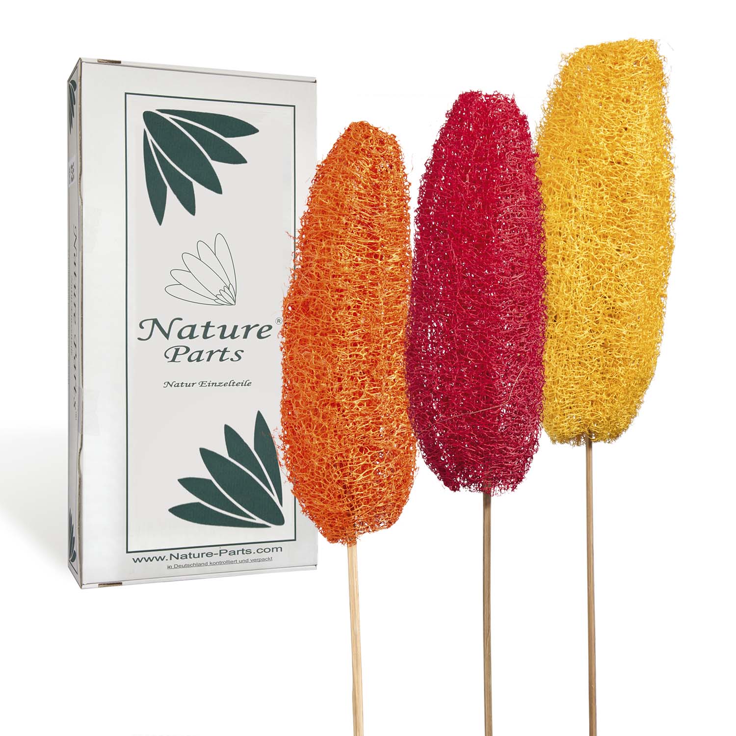 Luffa am Stiel - 3fach Farbmix (40 Stück) 