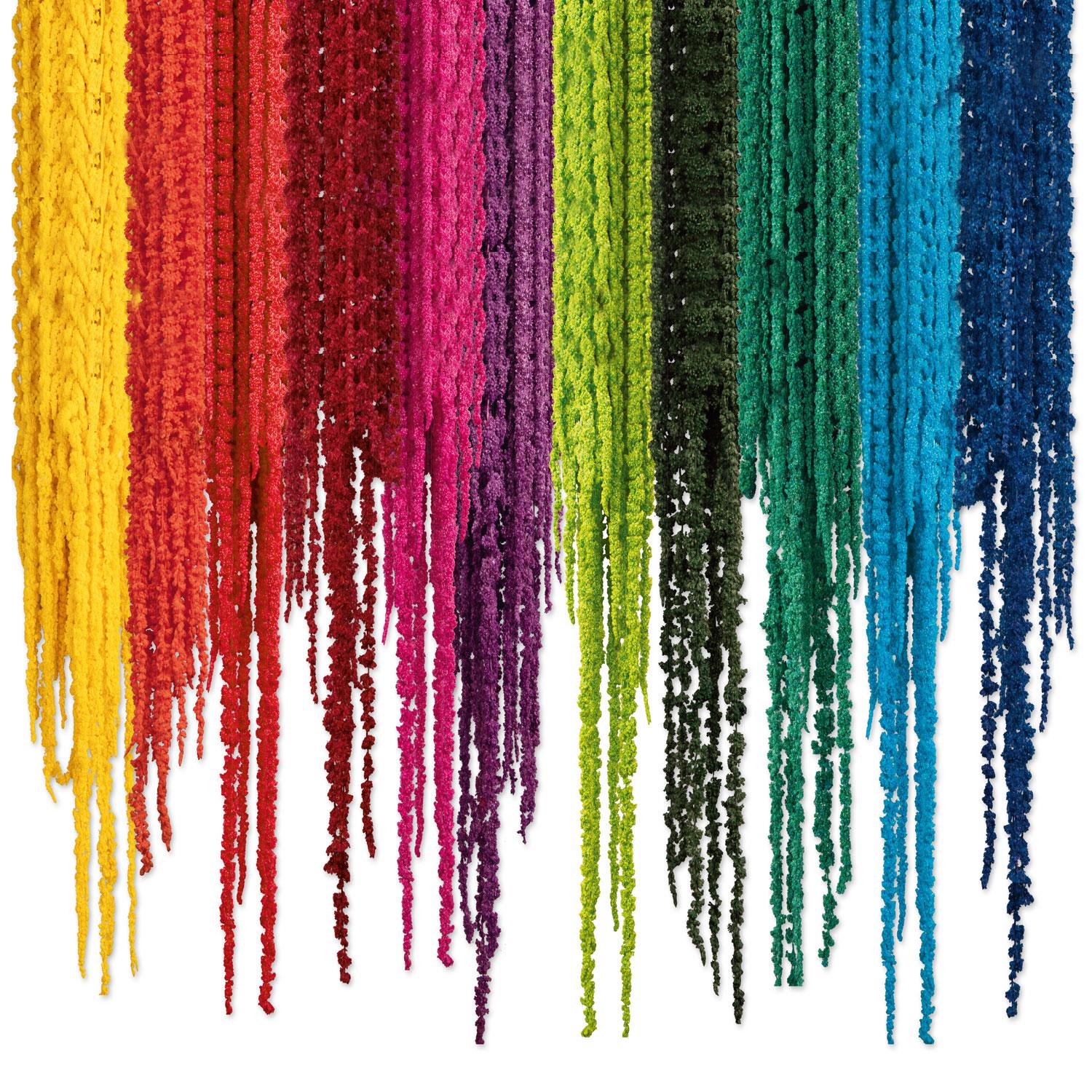 Amaranthus Fuchsschwanz - gefärbt