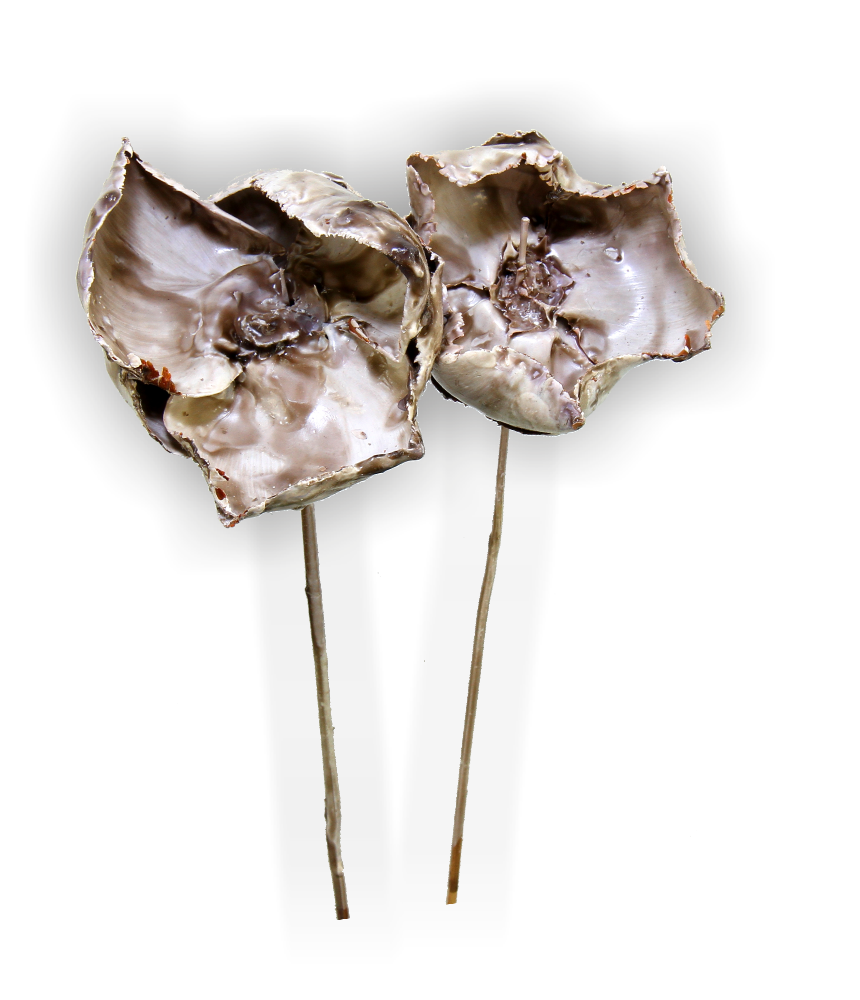 Palm Cup am Stiel gewachst in Mocca Grey