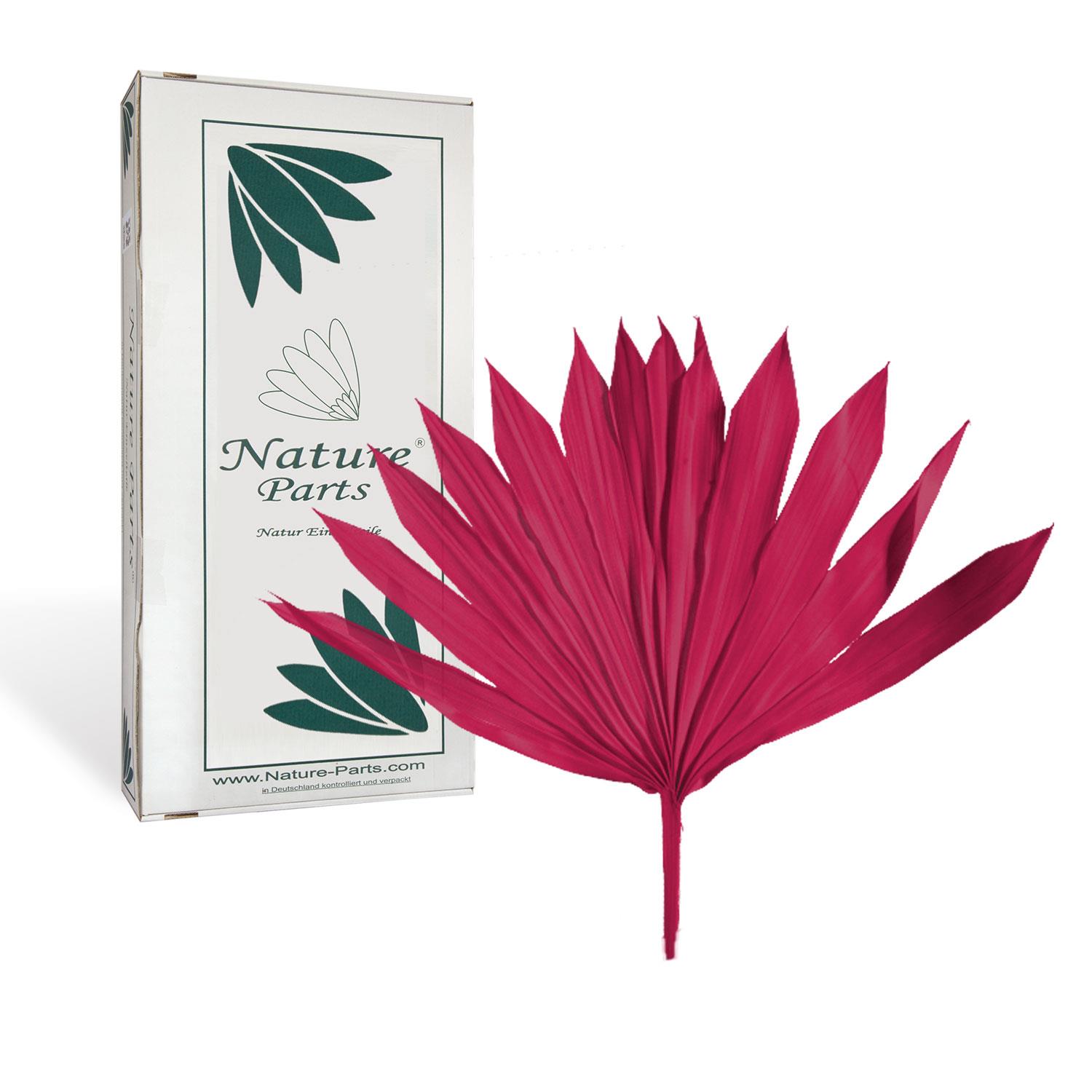 Sun Palm Cut - Pink (30 Stück)