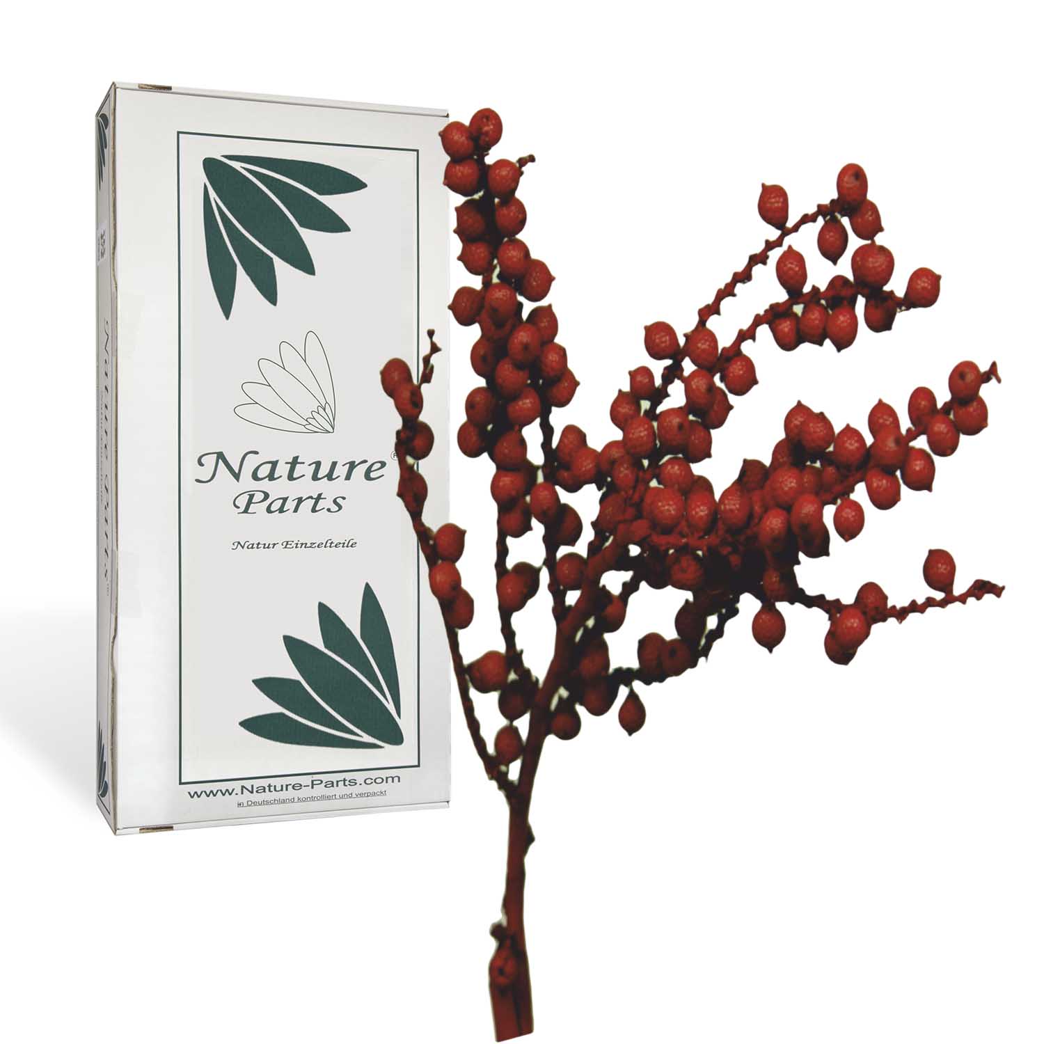 Canella Spezial Zweig - Rot (500g)