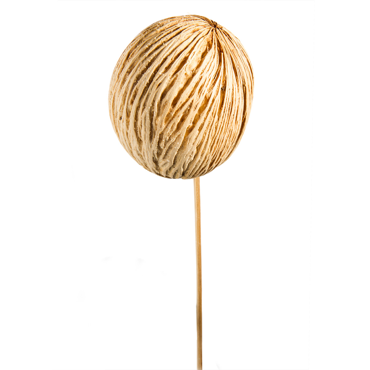 Mintolla Ball am Stiel - gebleicht 