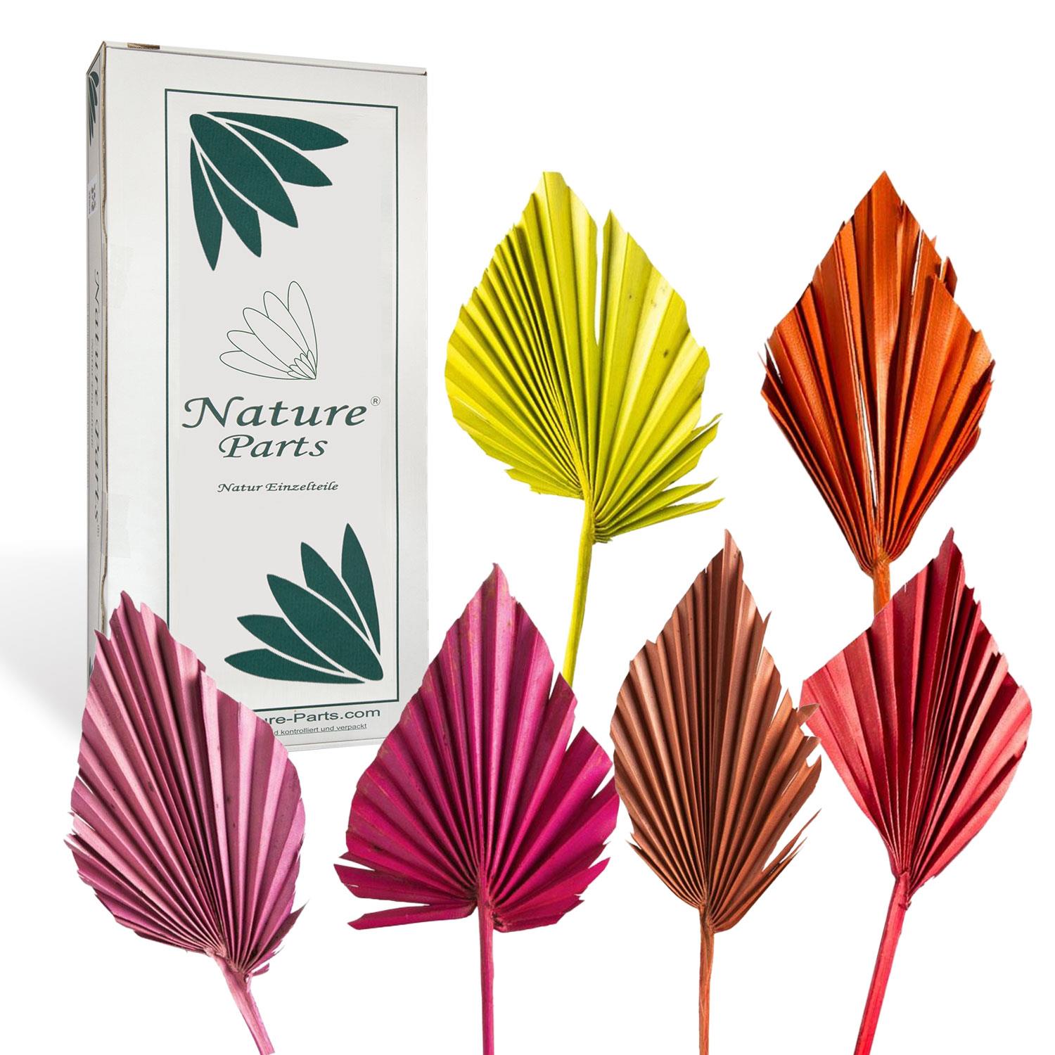 Palm Spear - Mini - Gefärbt (100 Stück)