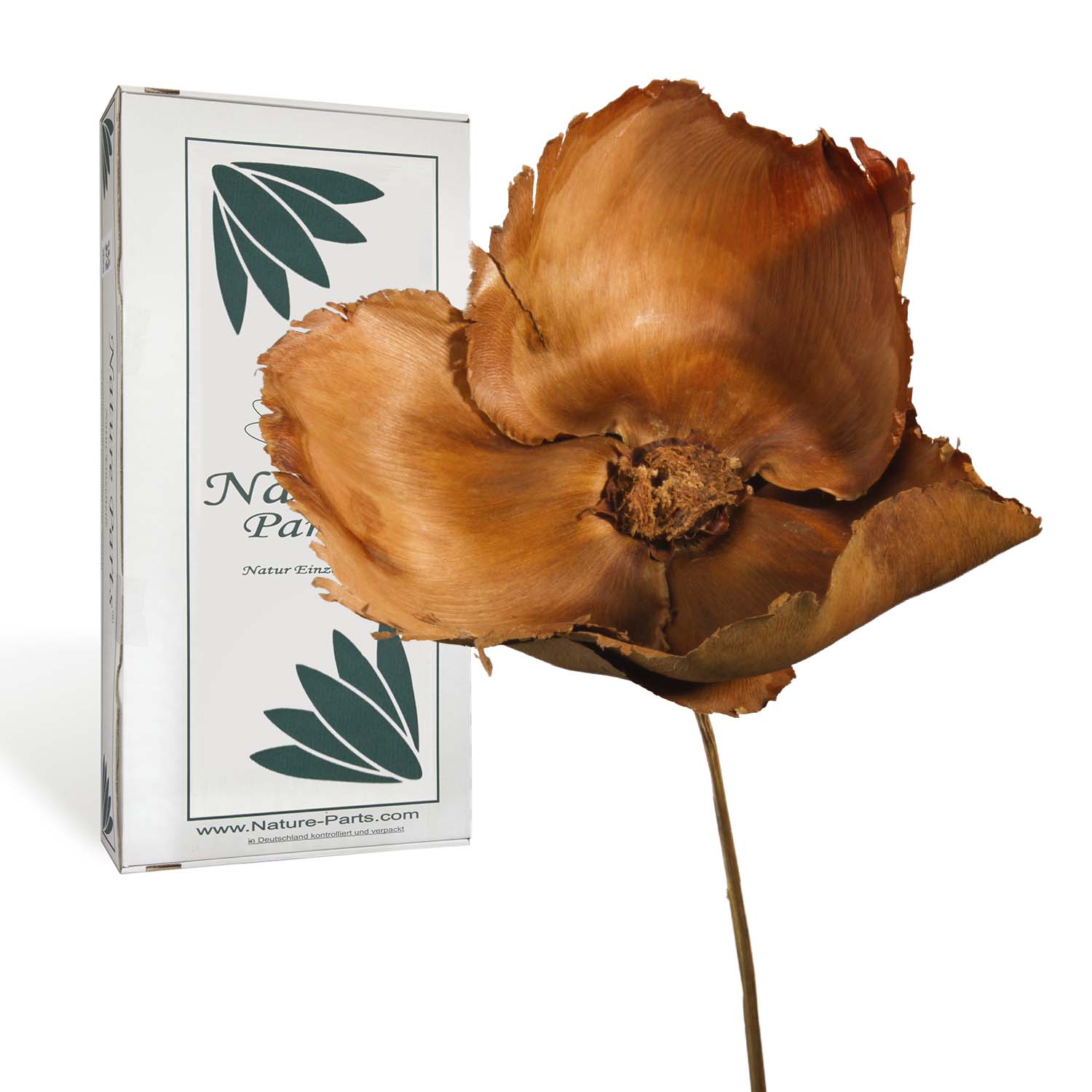 Palm Cup am Stiel - Natur (40 Stück)