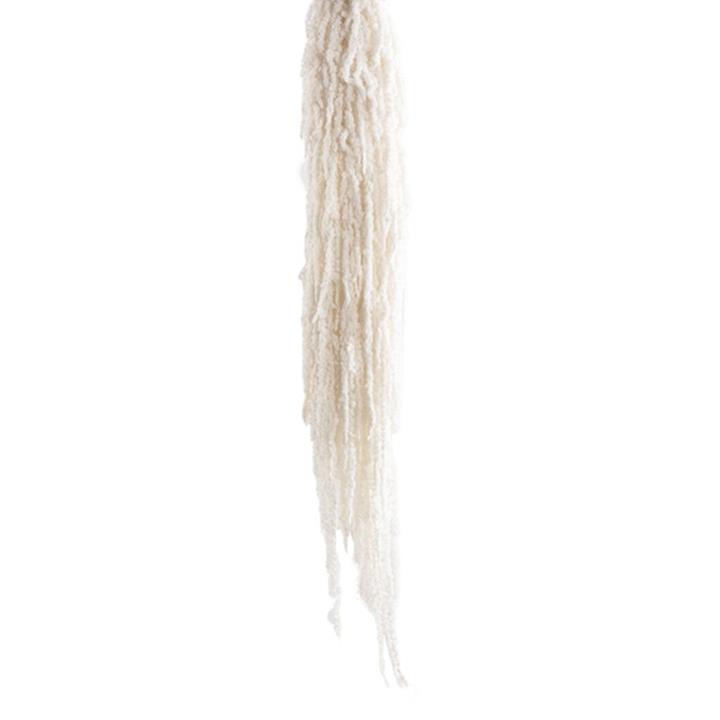 Amaranthus Fuchsschwanz - White