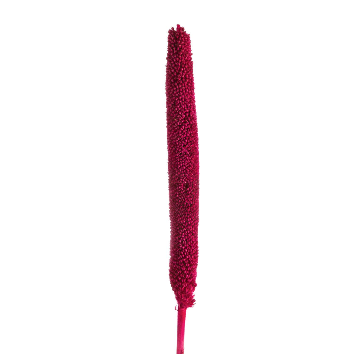 Babala mit Stiel - Pink