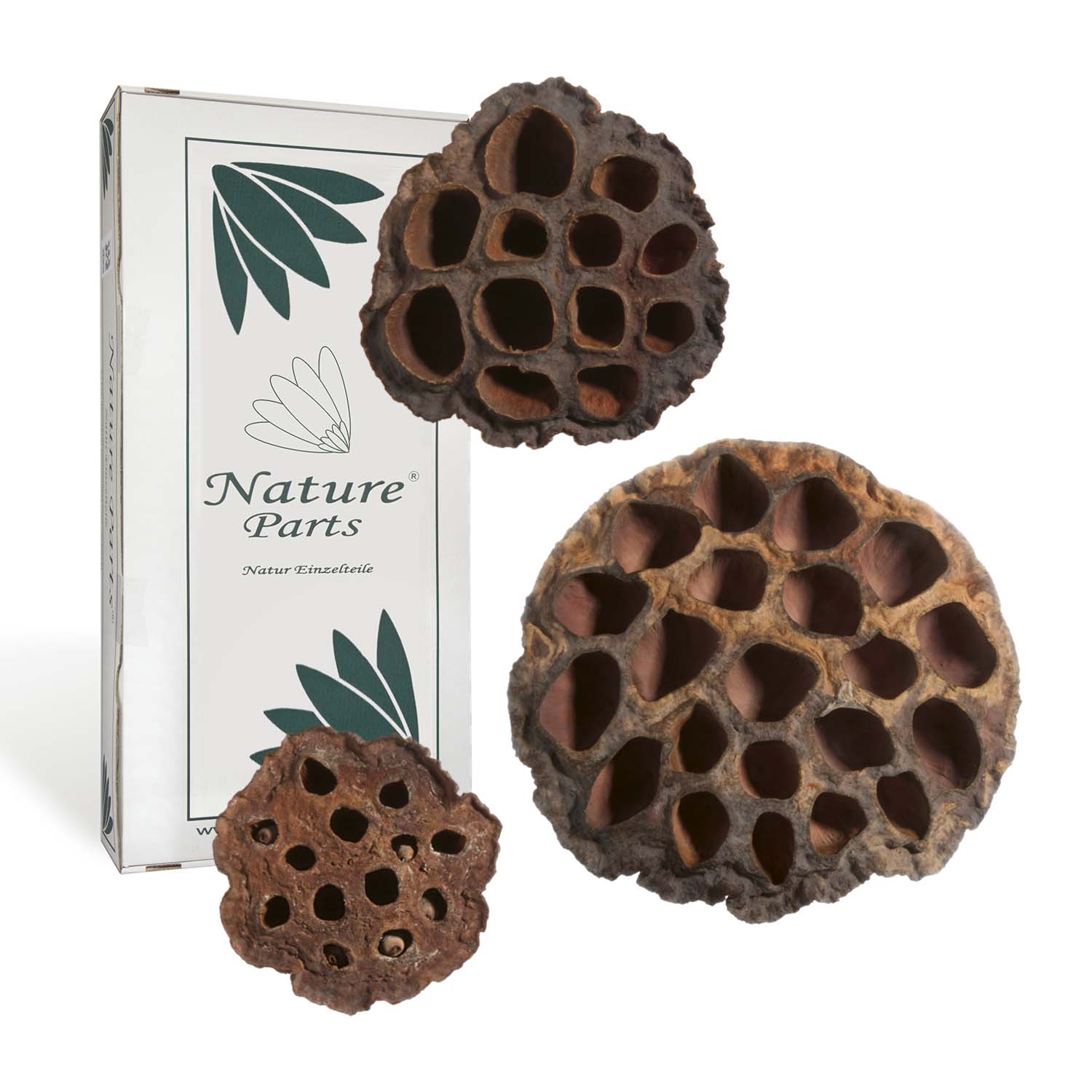 Lotus 3-fach Mix - Natur