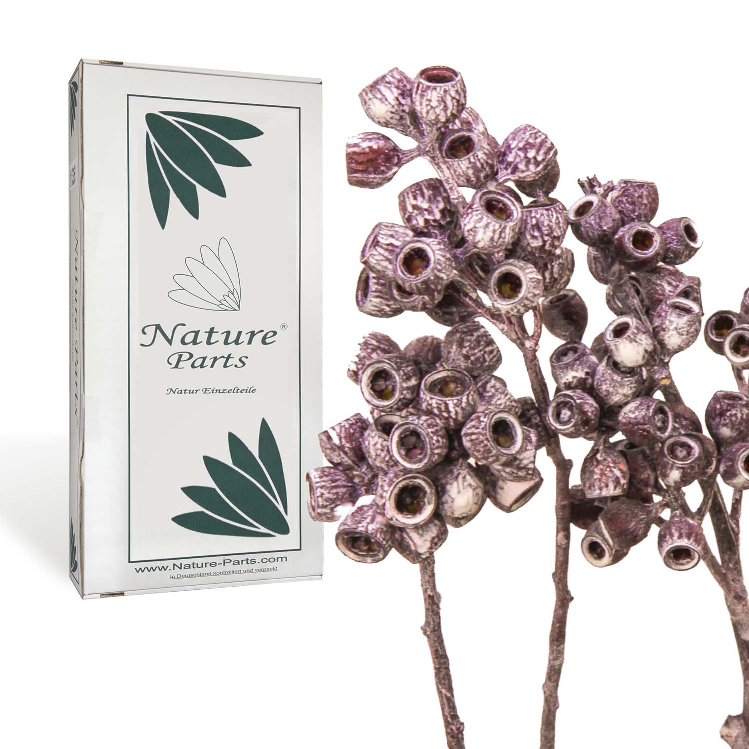 Eukalyptus Zweig mit Stiel - Frosted Pink Erika (50 Stück)