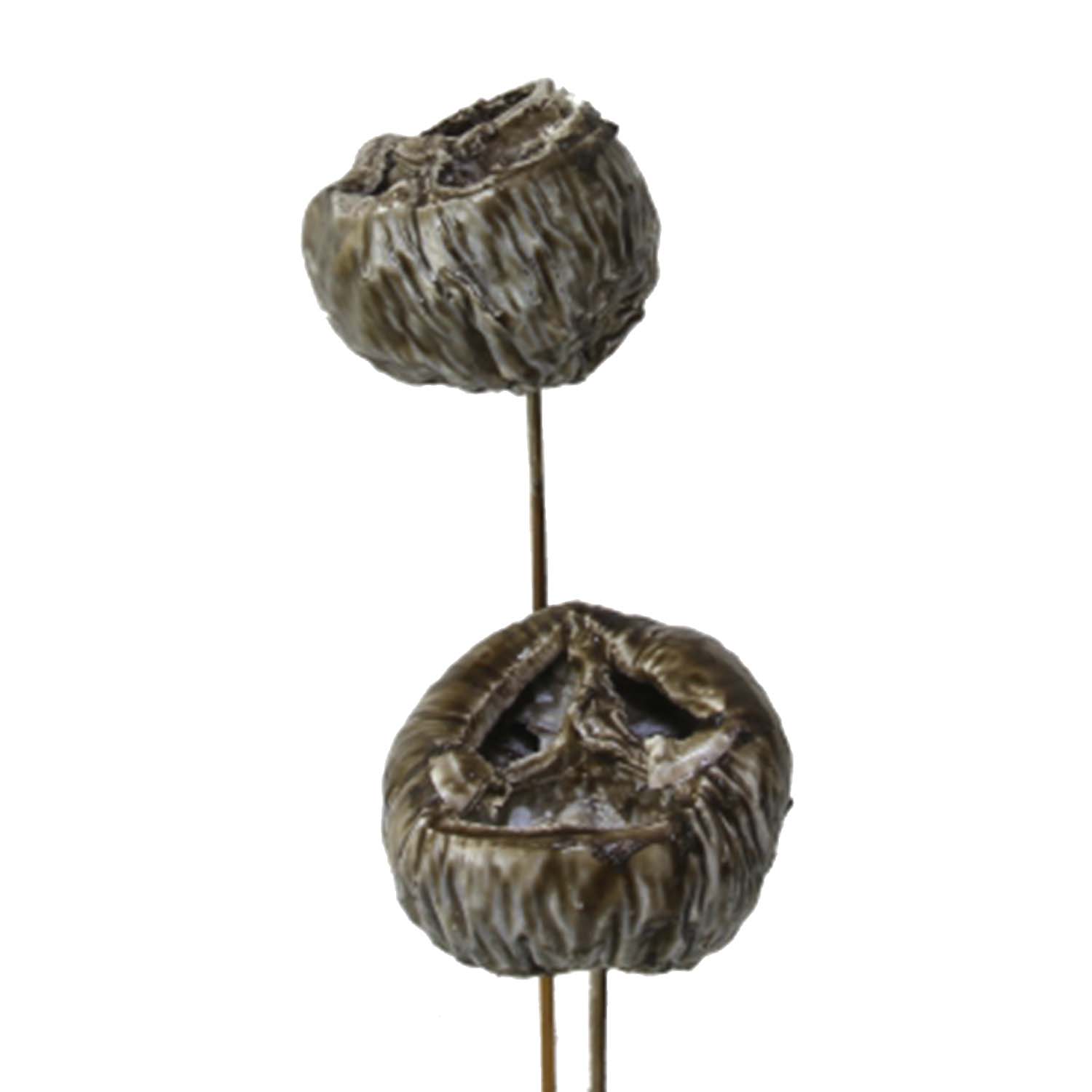 Talami - gewachst - Mocca Grey